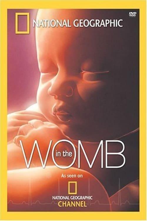 In The Womb poster