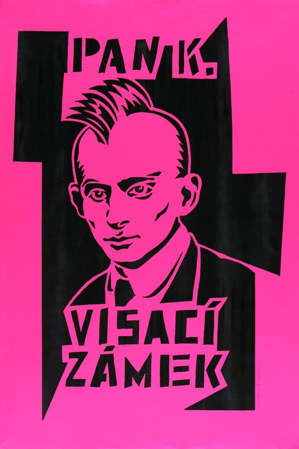 Visací zámek 1982-2007 poster
