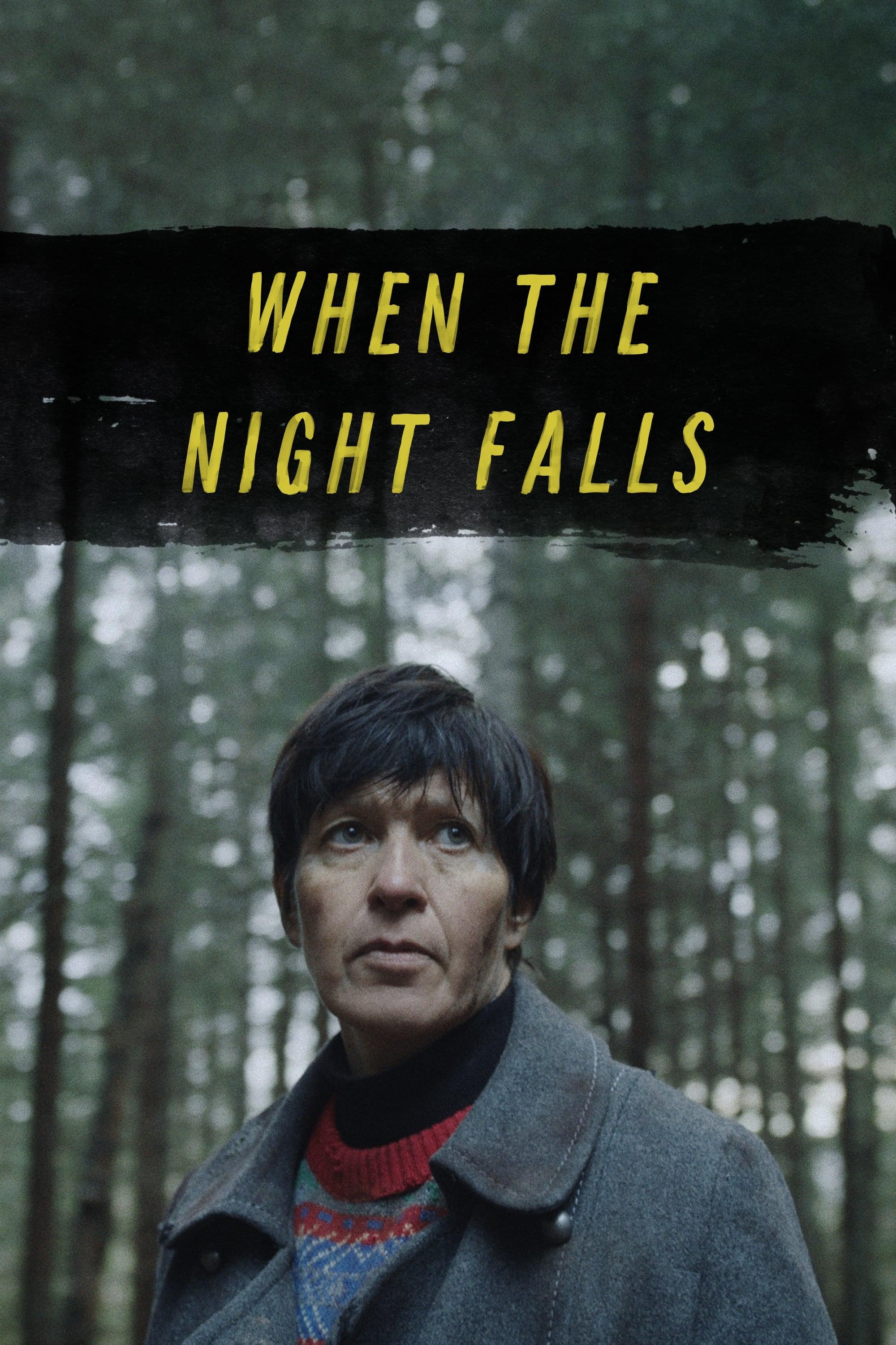 When the Night Falls poster
