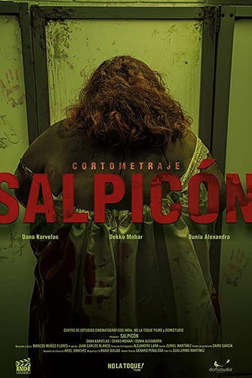 Salpicón poster