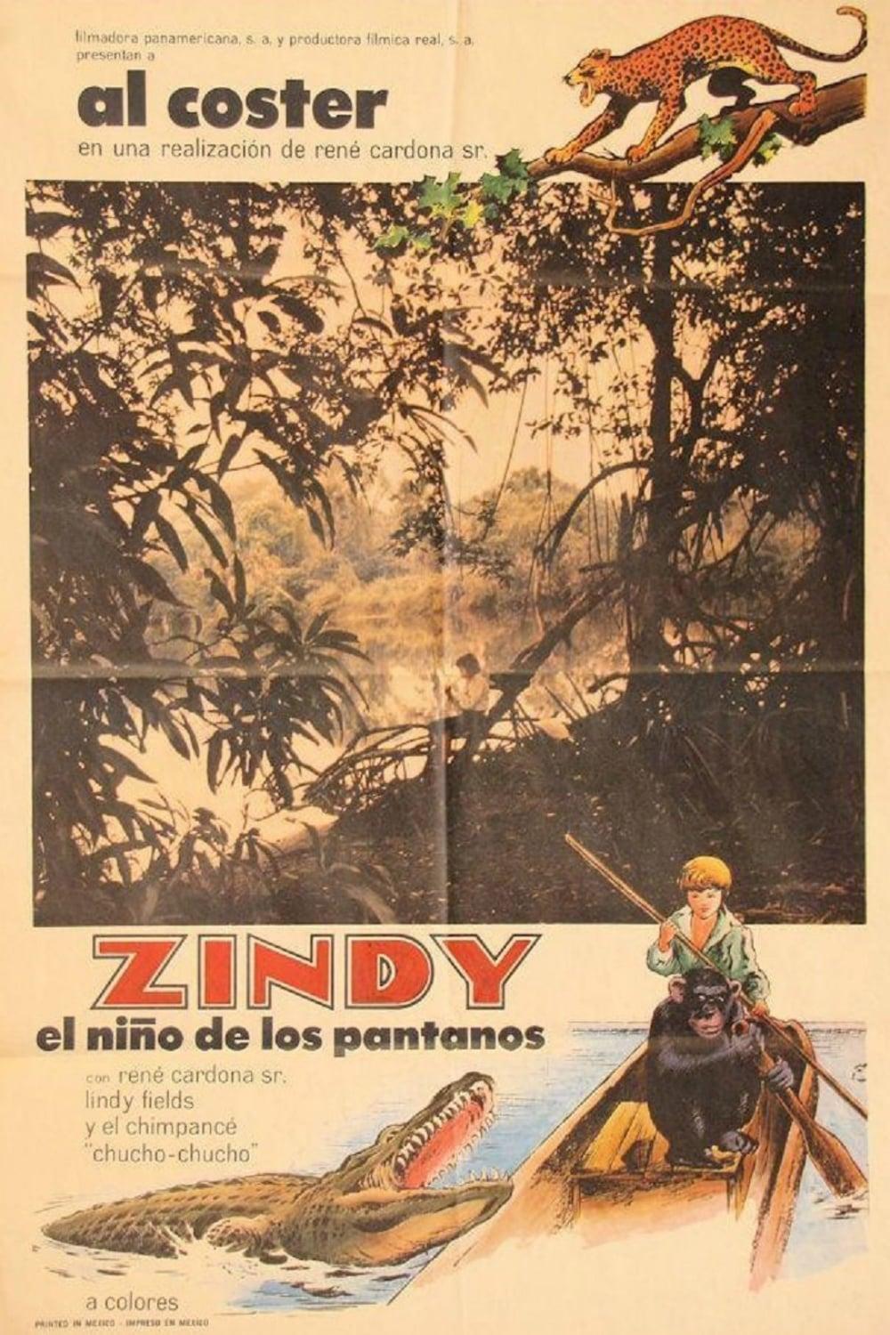 Zindy, el niño de los pantanos poster
