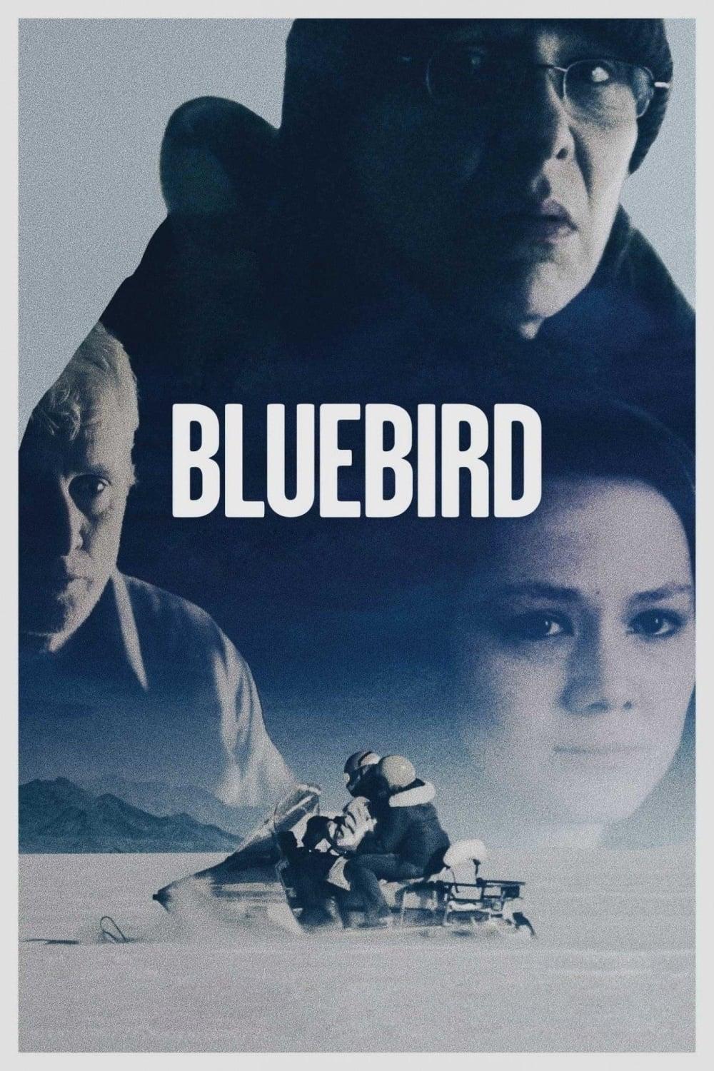 Bluebird poster
