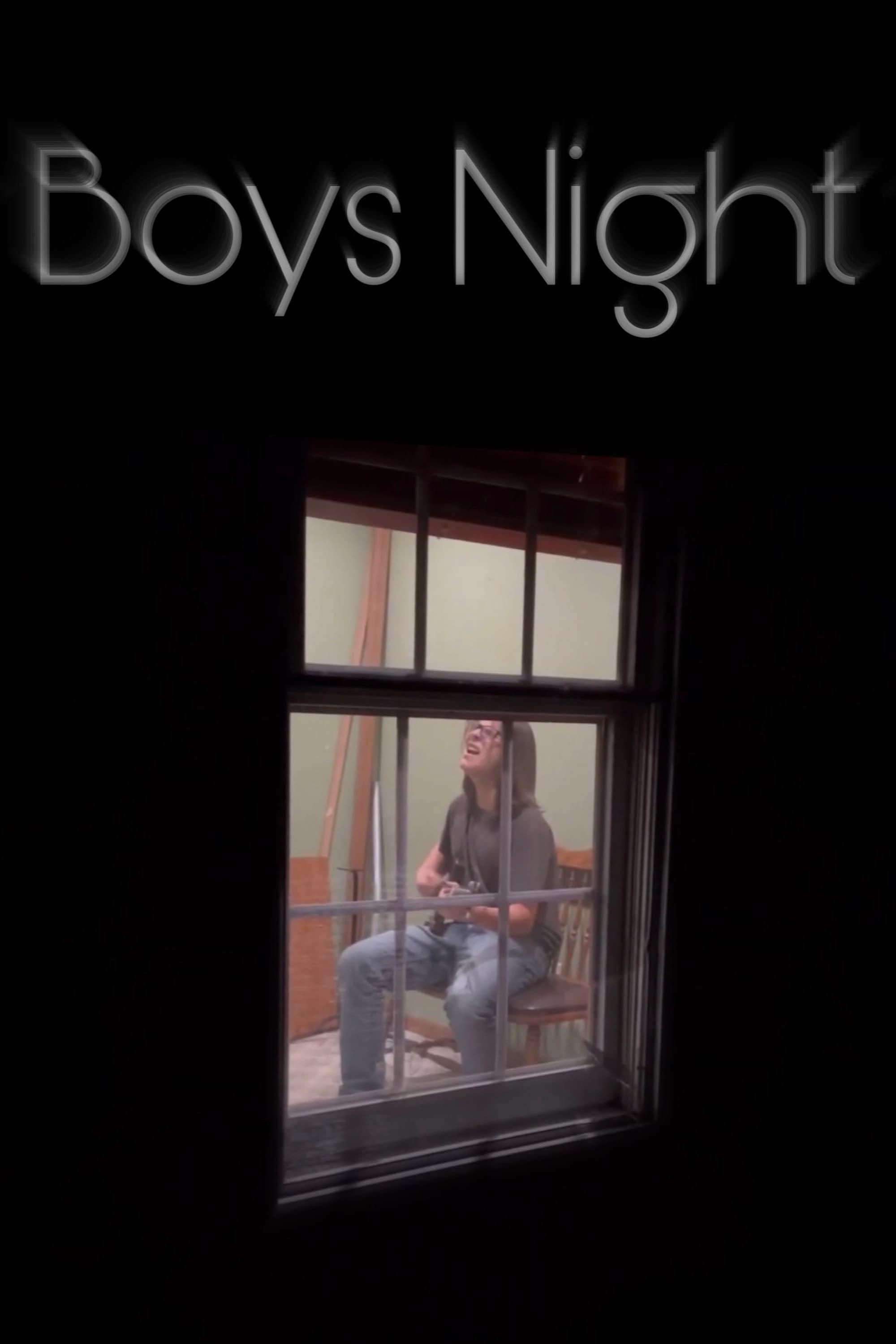 Boys Night poster