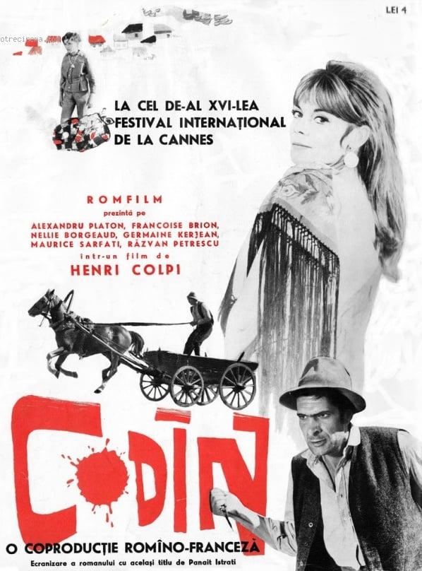 Codin poster