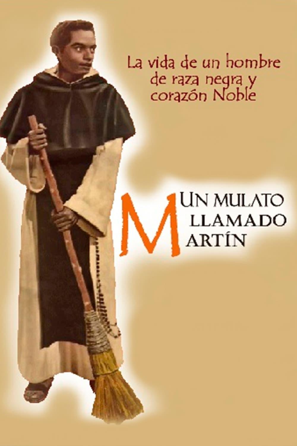 Un mulato llamado Martín poster