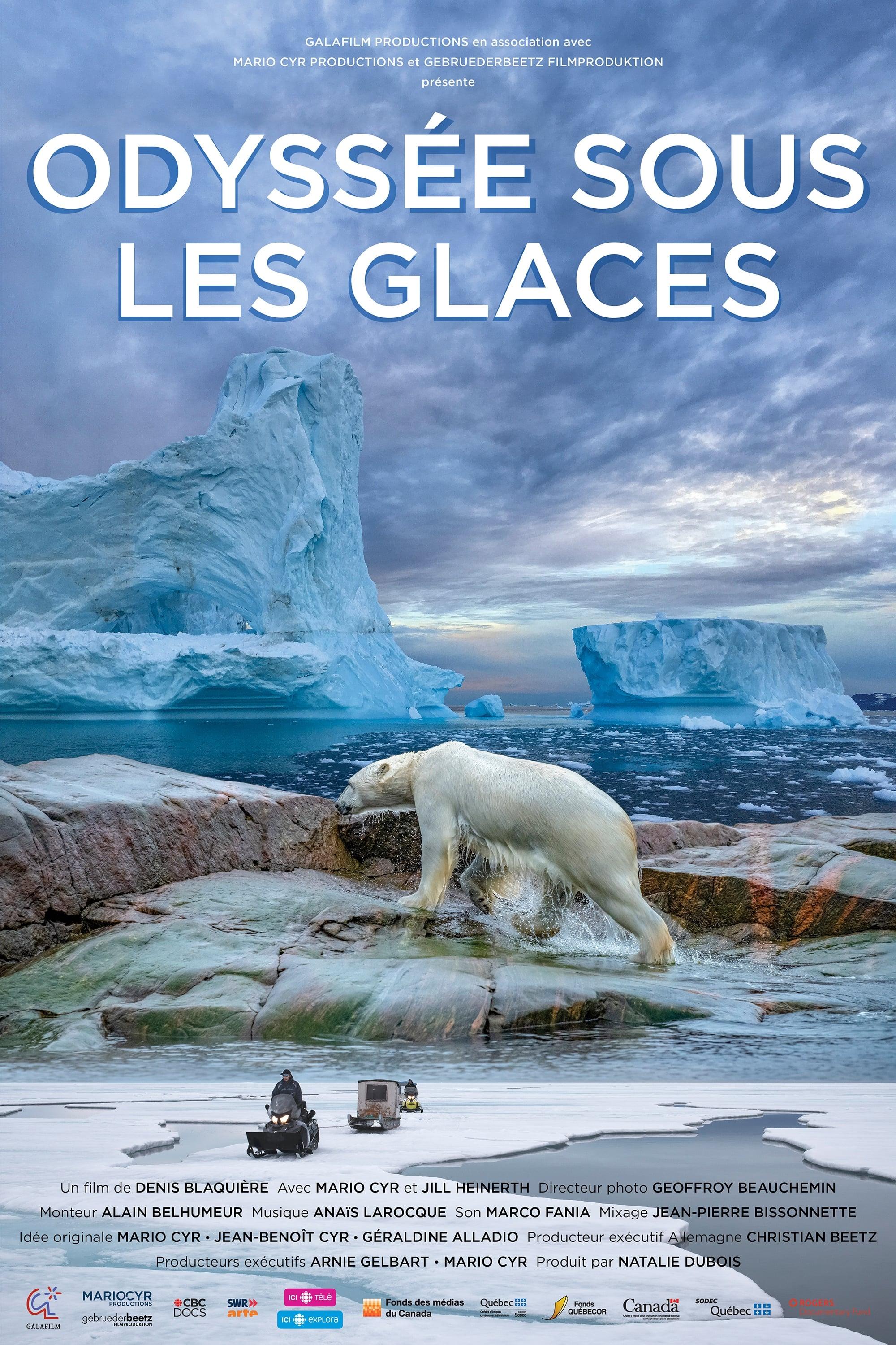Faszination Arktis - Tauchgang unter dünnem Eis poster