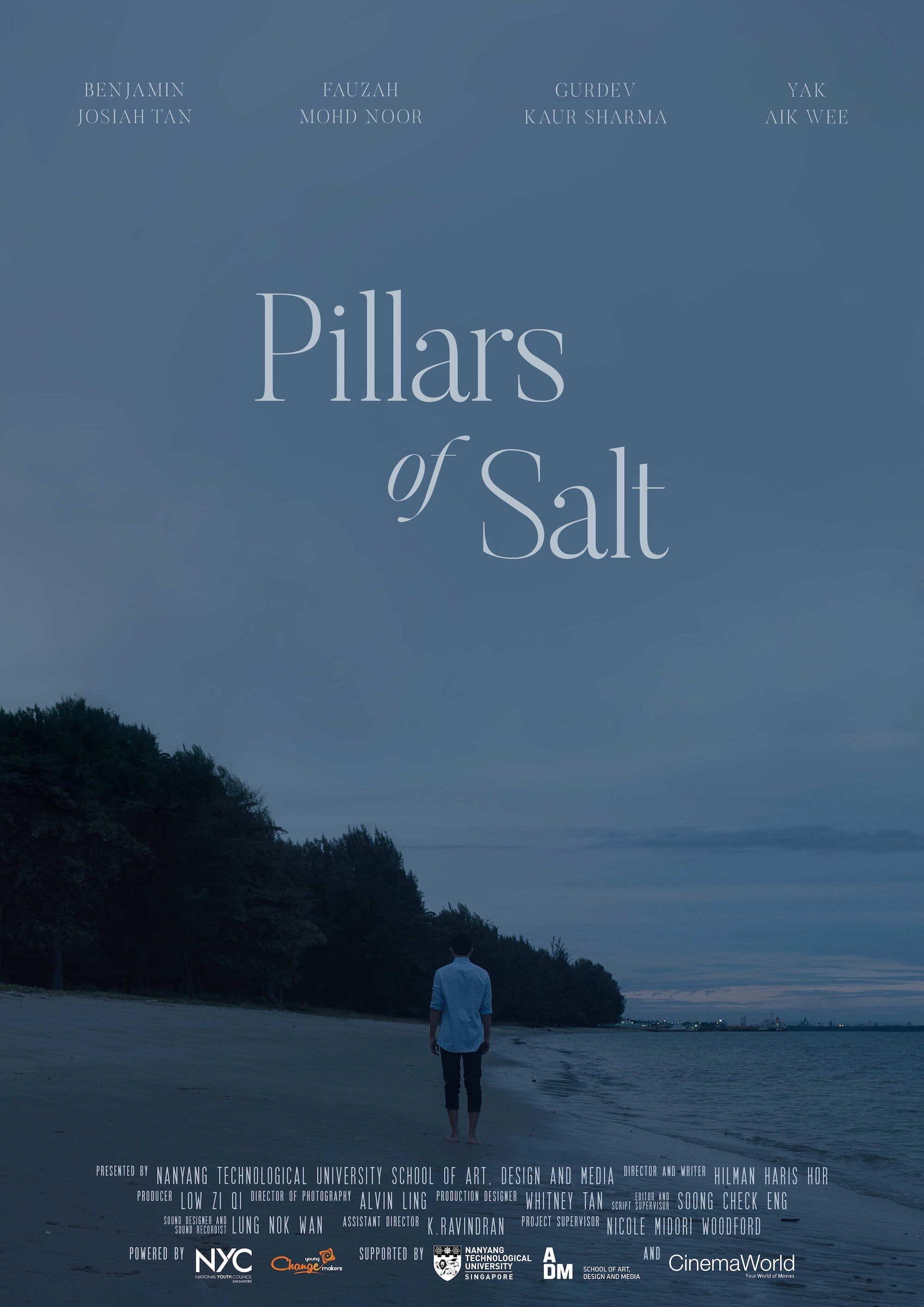 Pillars of Salt poster