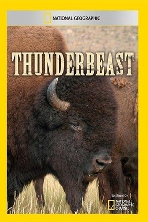 Thunderbeast poster