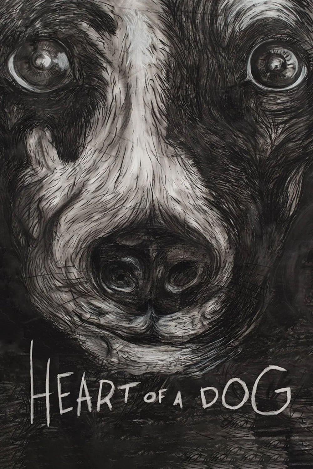 Heart of a Dog poster