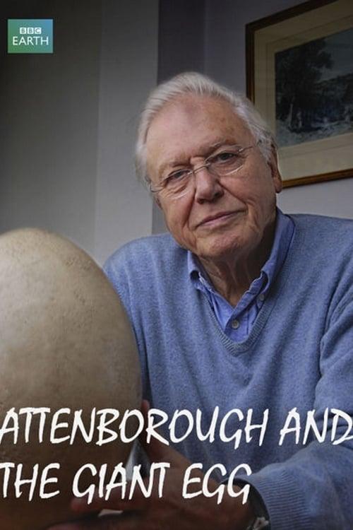 Attenborough and the Giant Egg poster