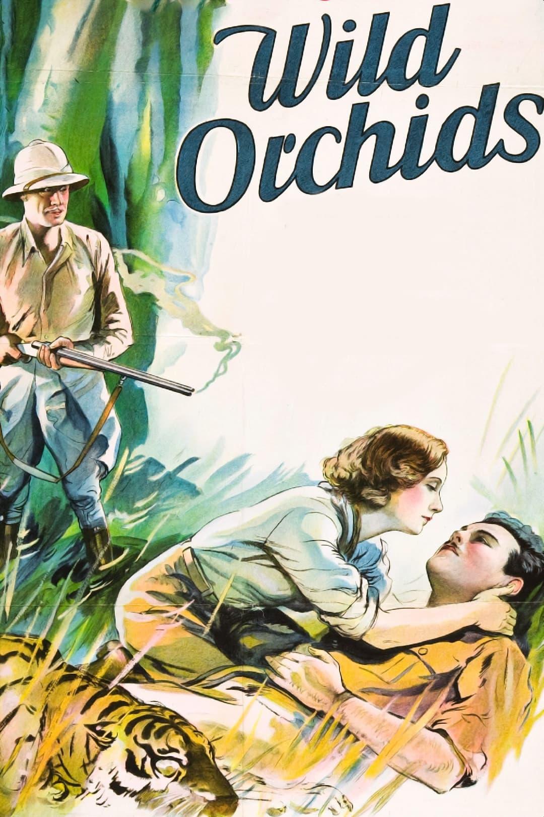 Wilde Orchideen poster