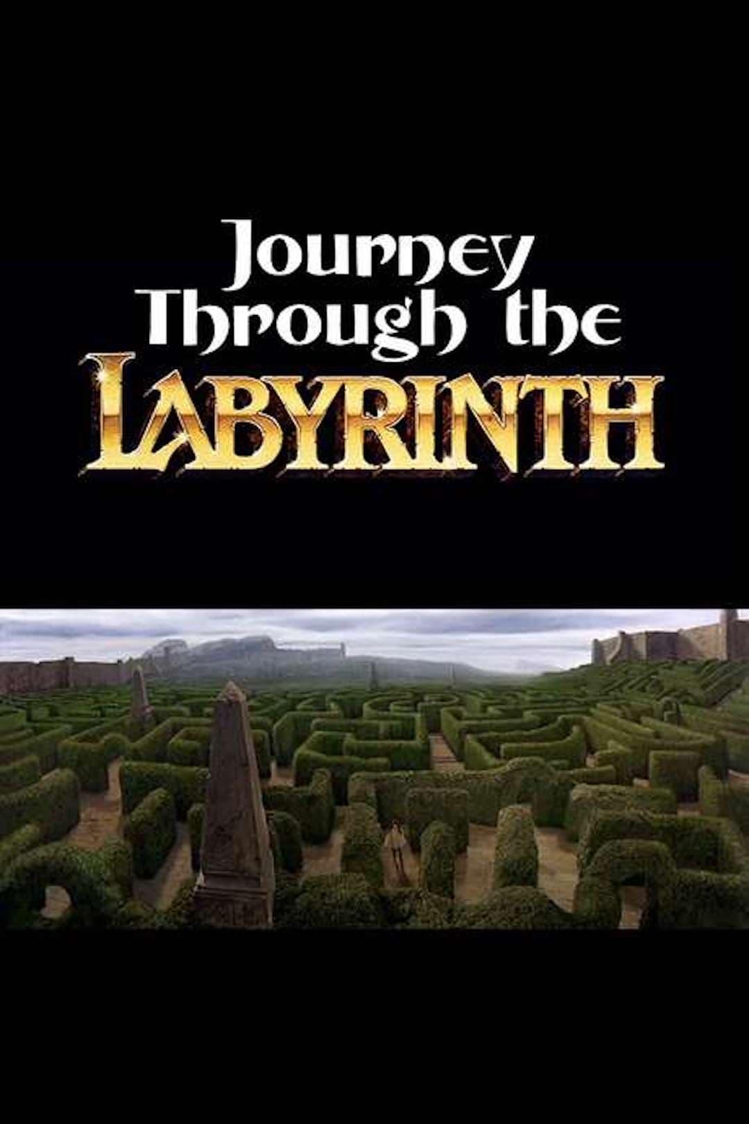 Journey Through the Labyrinth poster