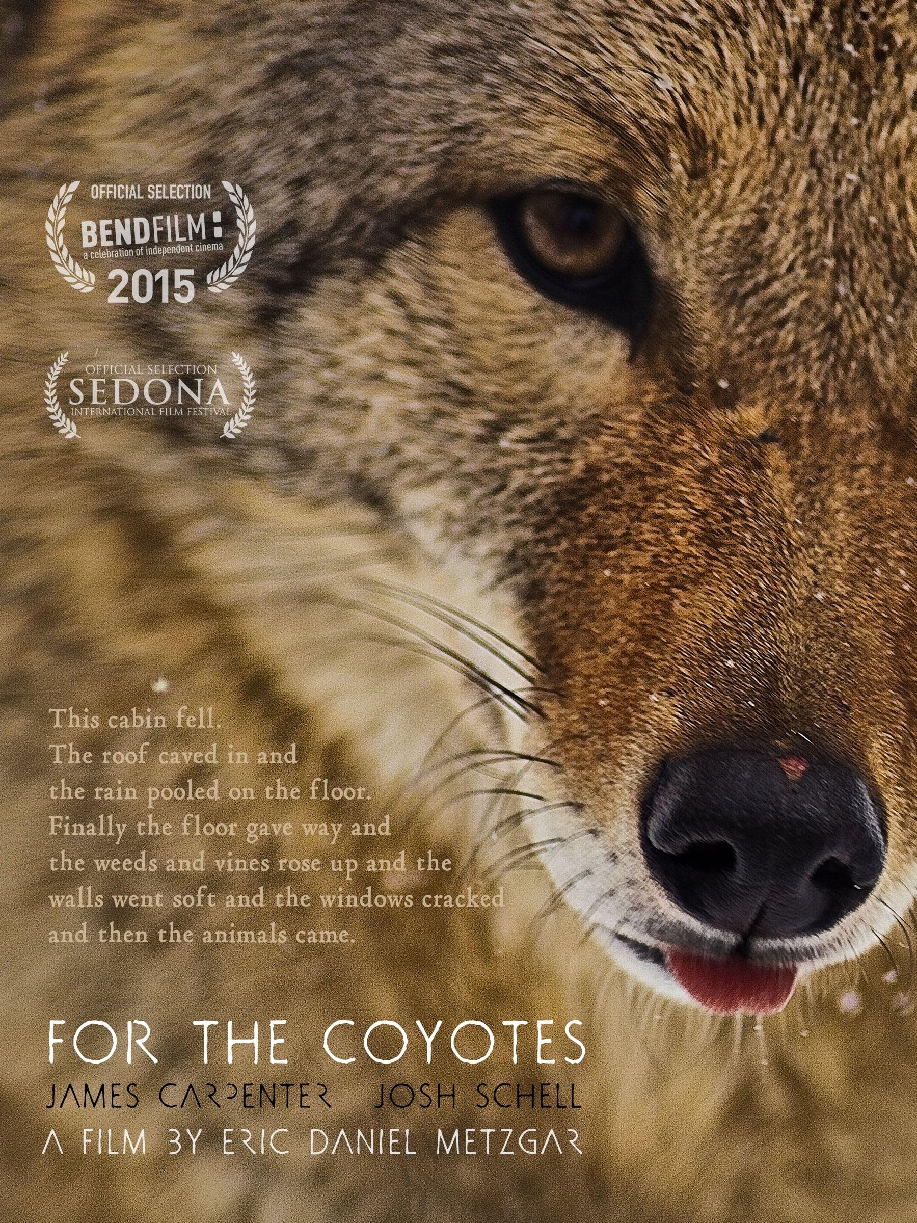 For the Coyotes poster