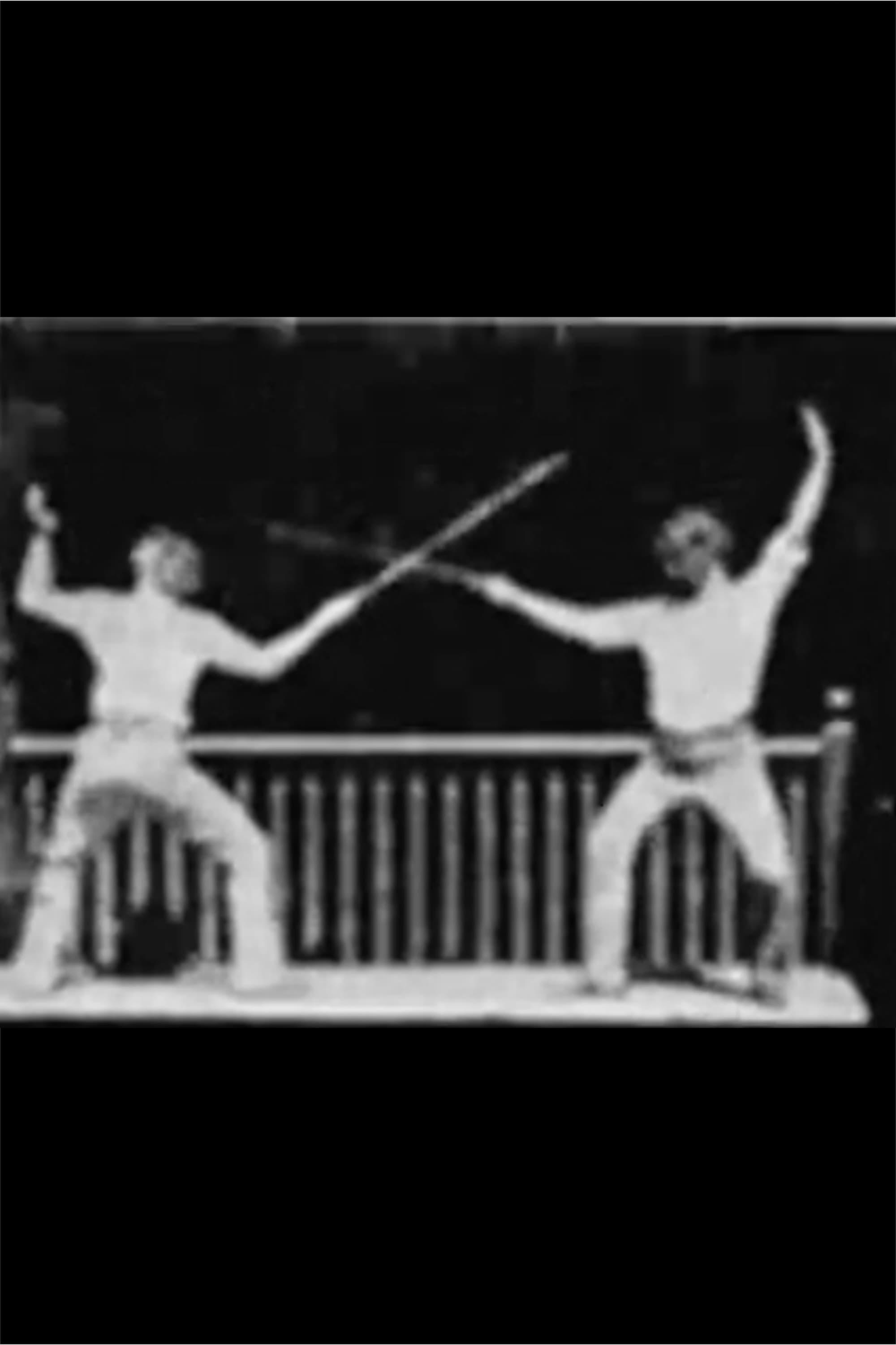 Fencing poster