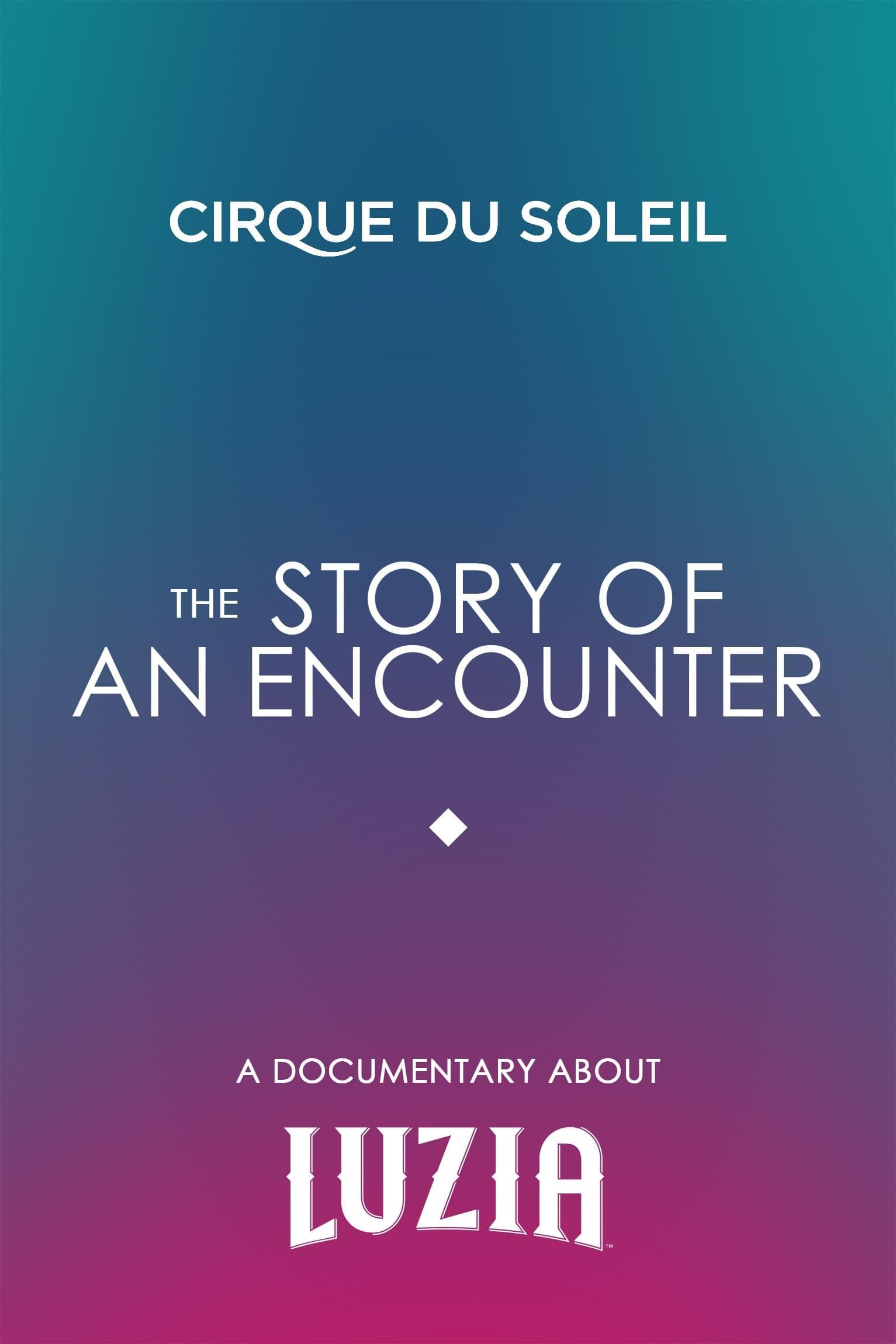 The Story Of An Encounter poster