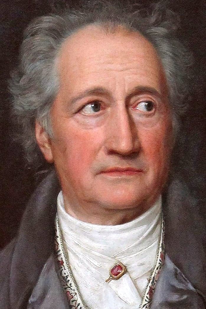 Johann Wolfgang von Goethe | Novel