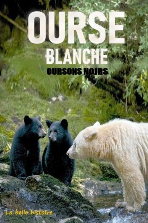 Ourse blanche, oursons noirs : la belle histoire poster