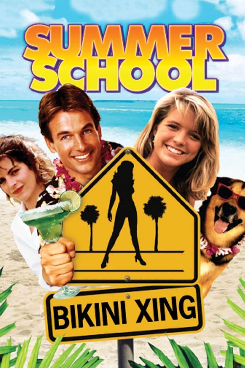 Summer School poster