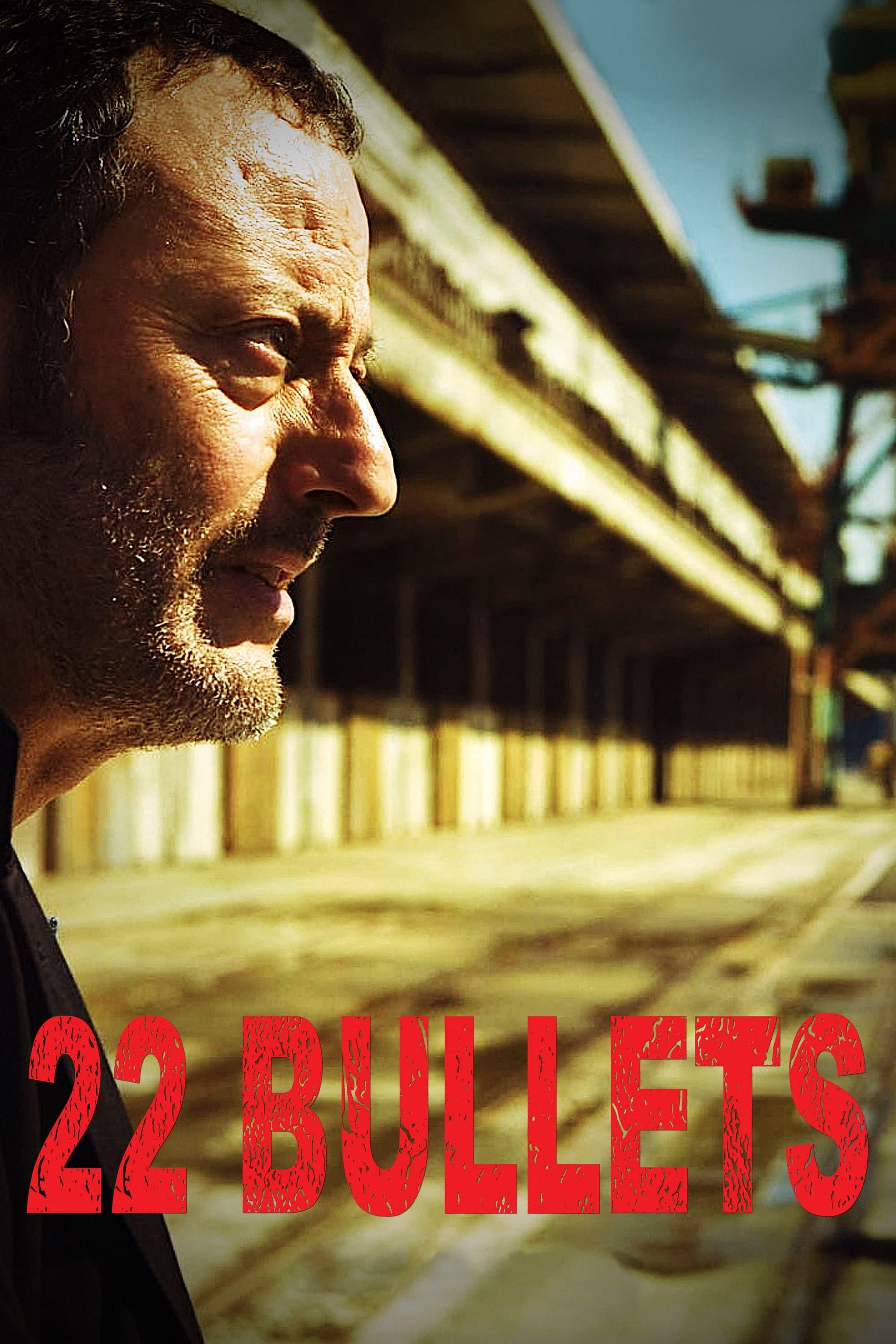 22 Bullets poster