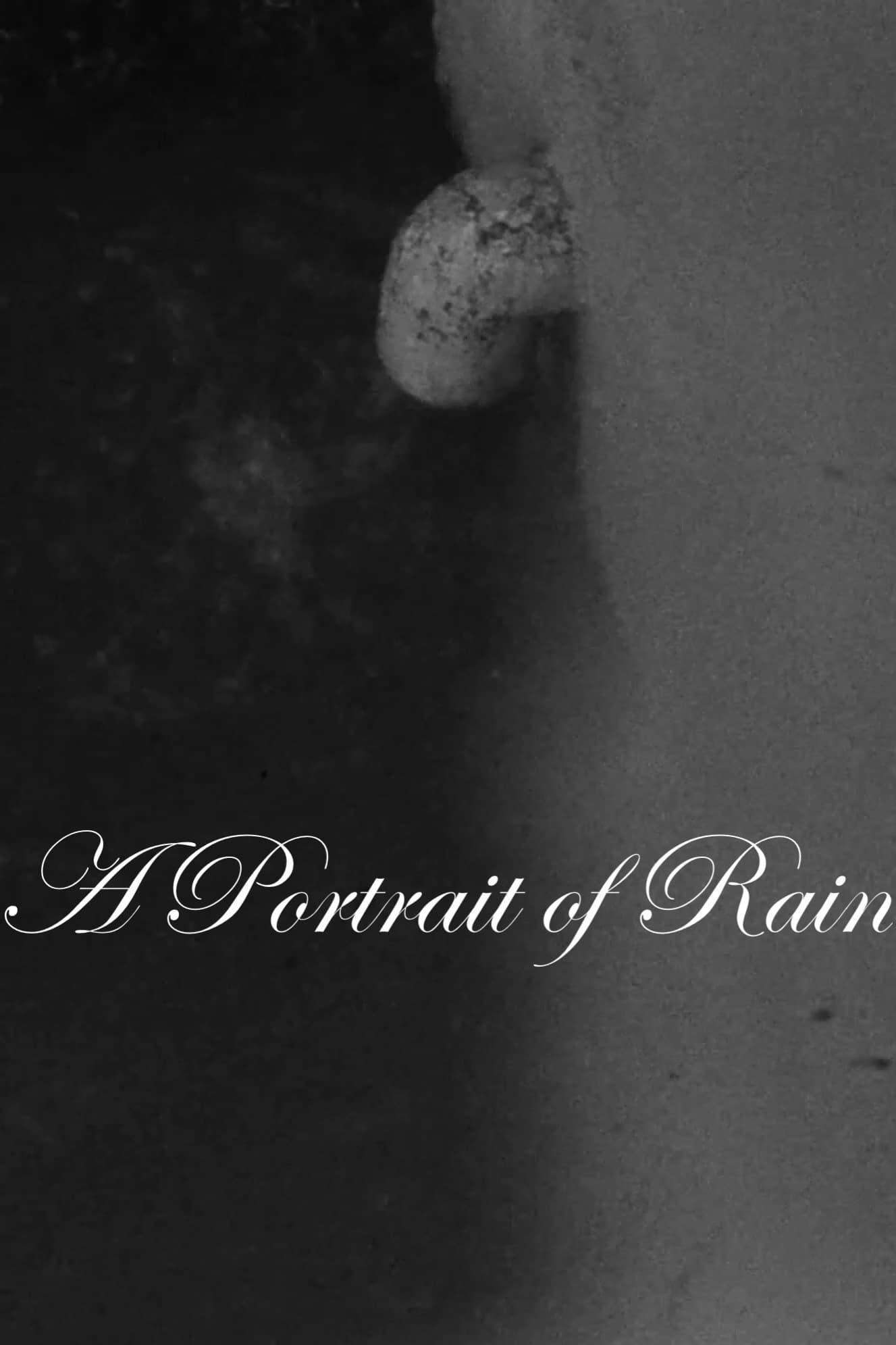 A Portrait of Rain poster