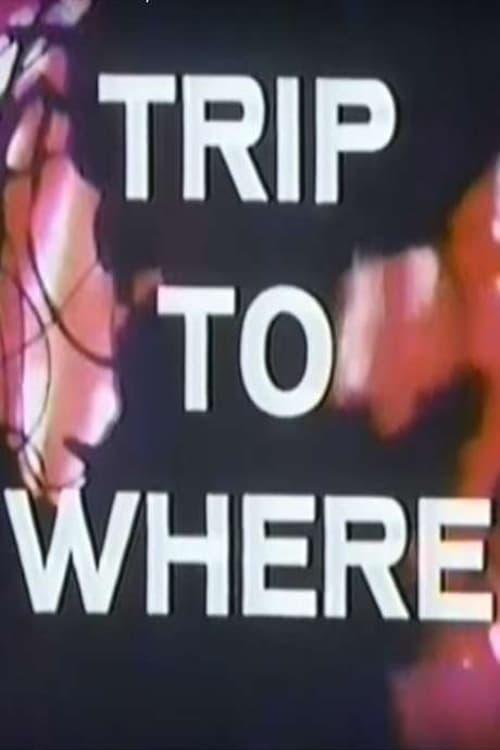 LSD: Trip to Where? poster