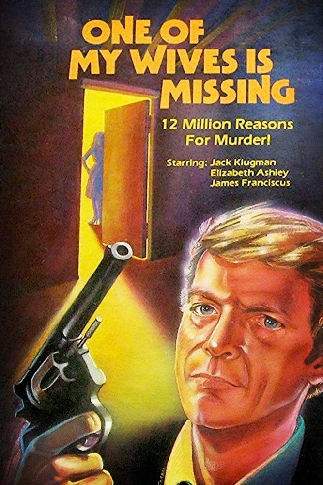 One of My Wives Is Missing poster