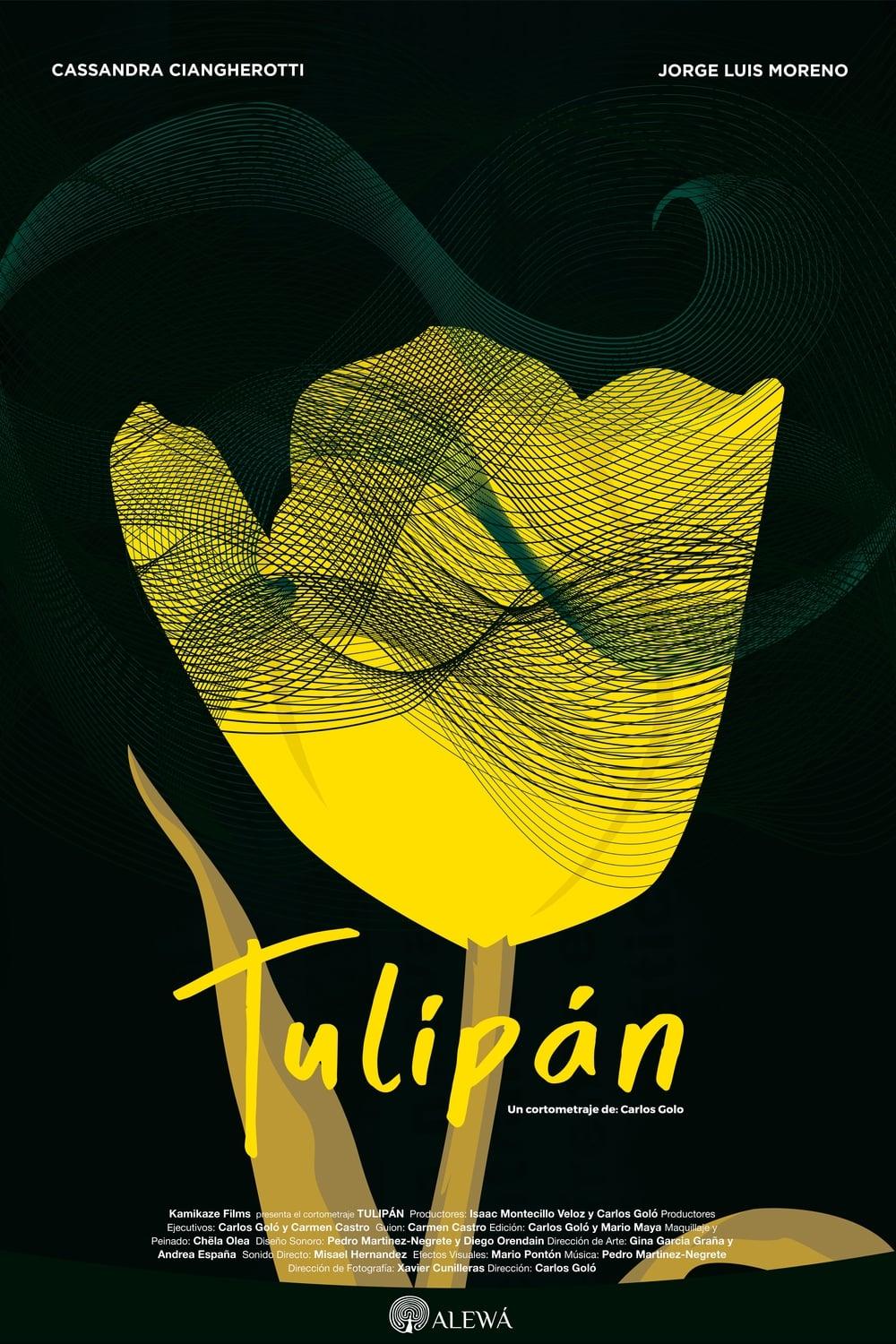 Tulipán poster