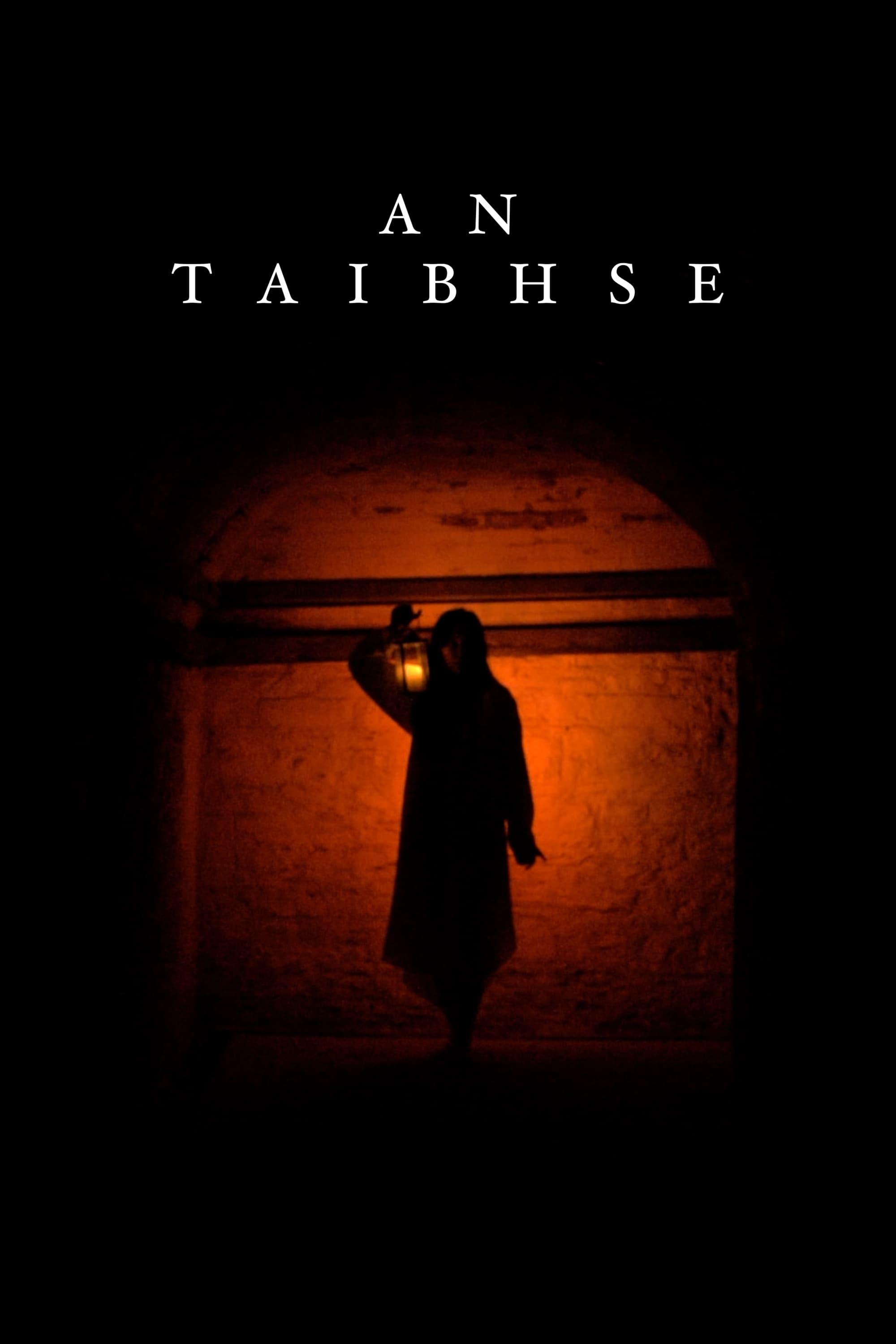 An Taibhse poster