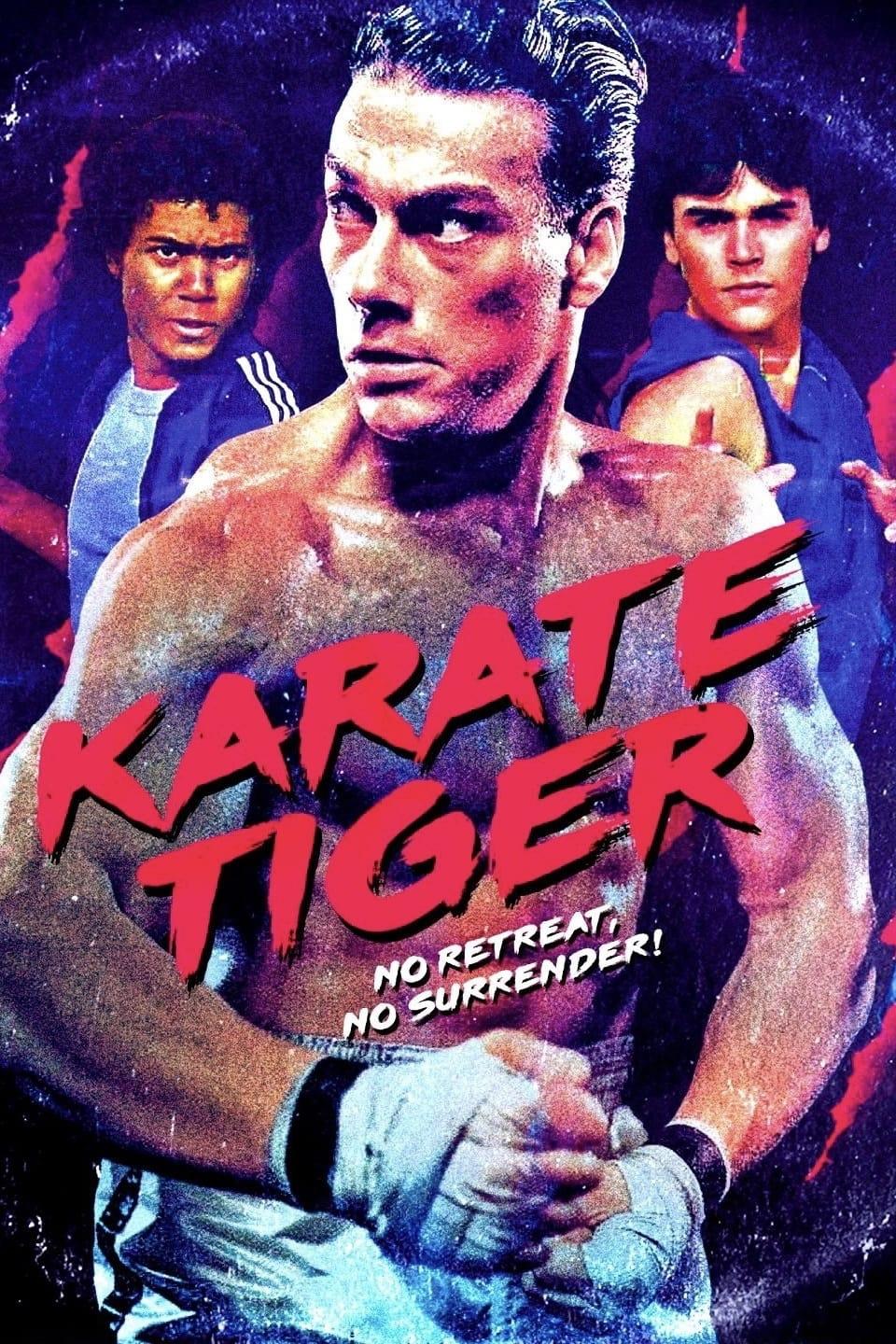 Karate Tiger poster