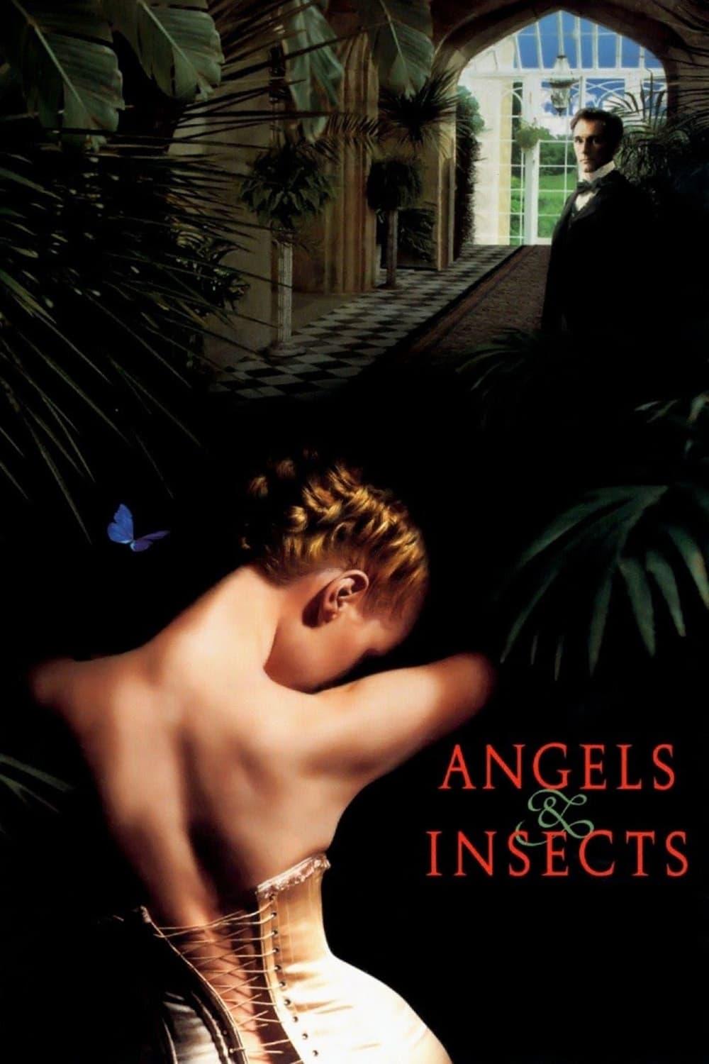 Engel und Insekten poster