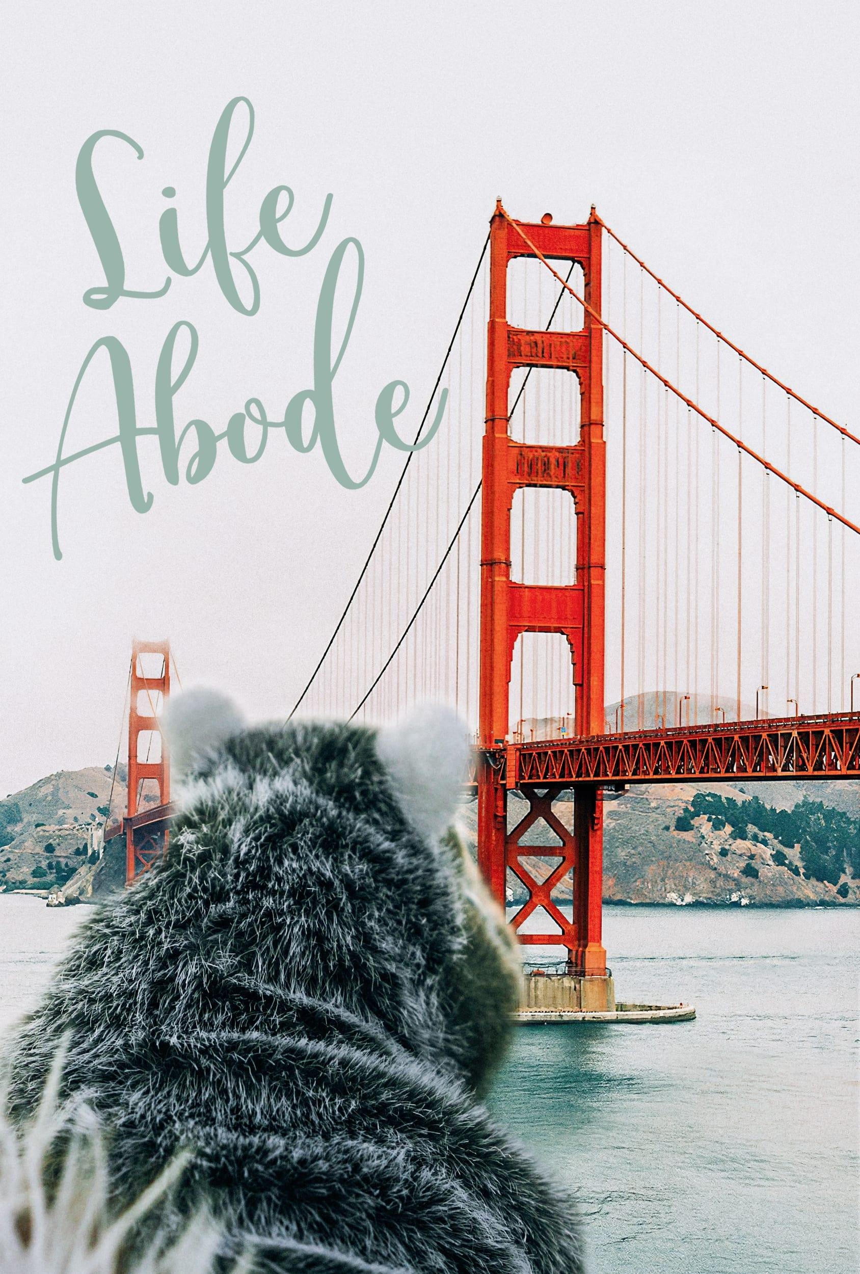 Life Abode poster