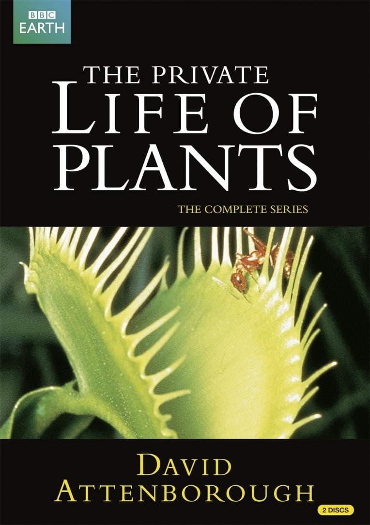 The Private Life of Plants poster