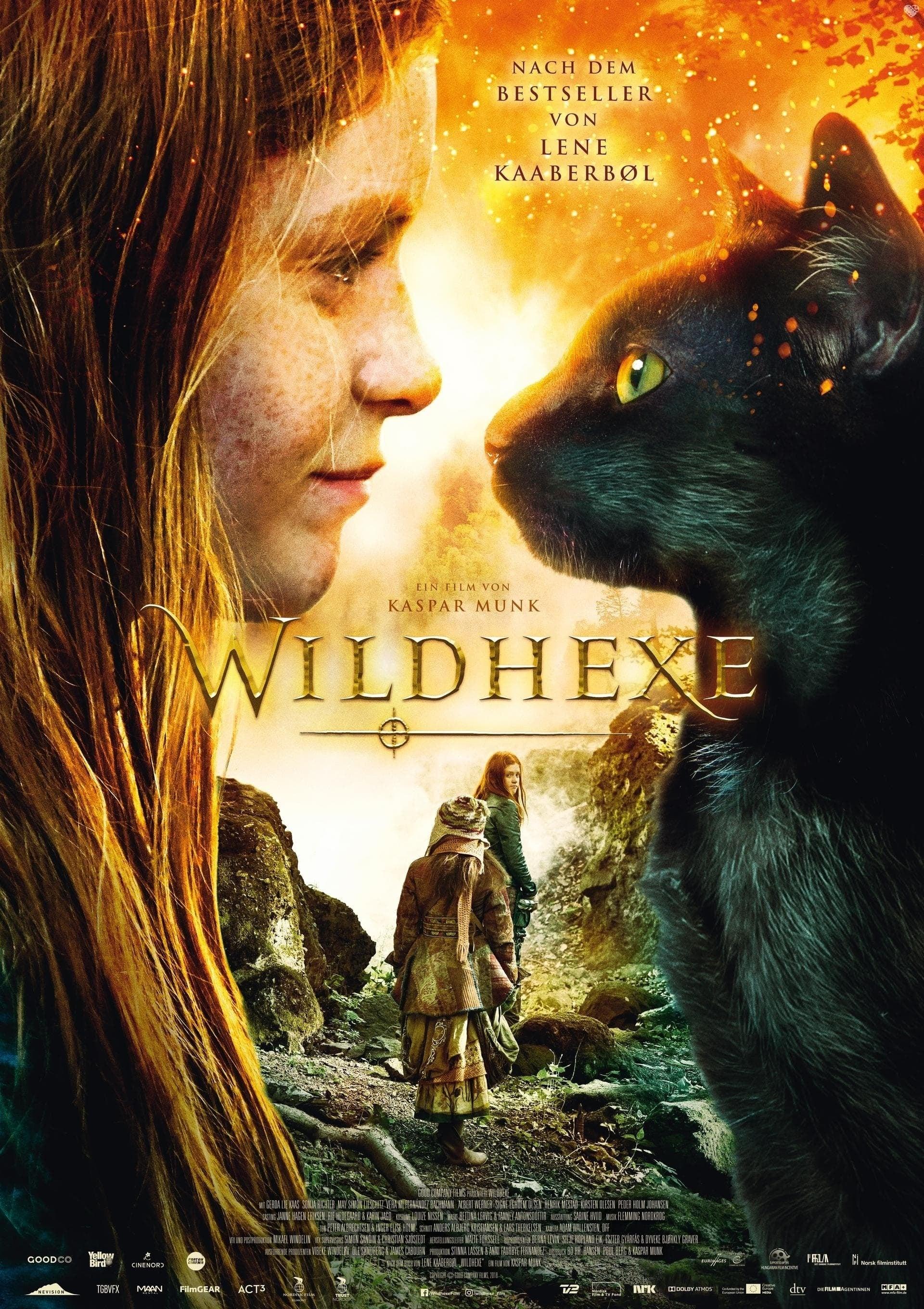 Wildhexe poster