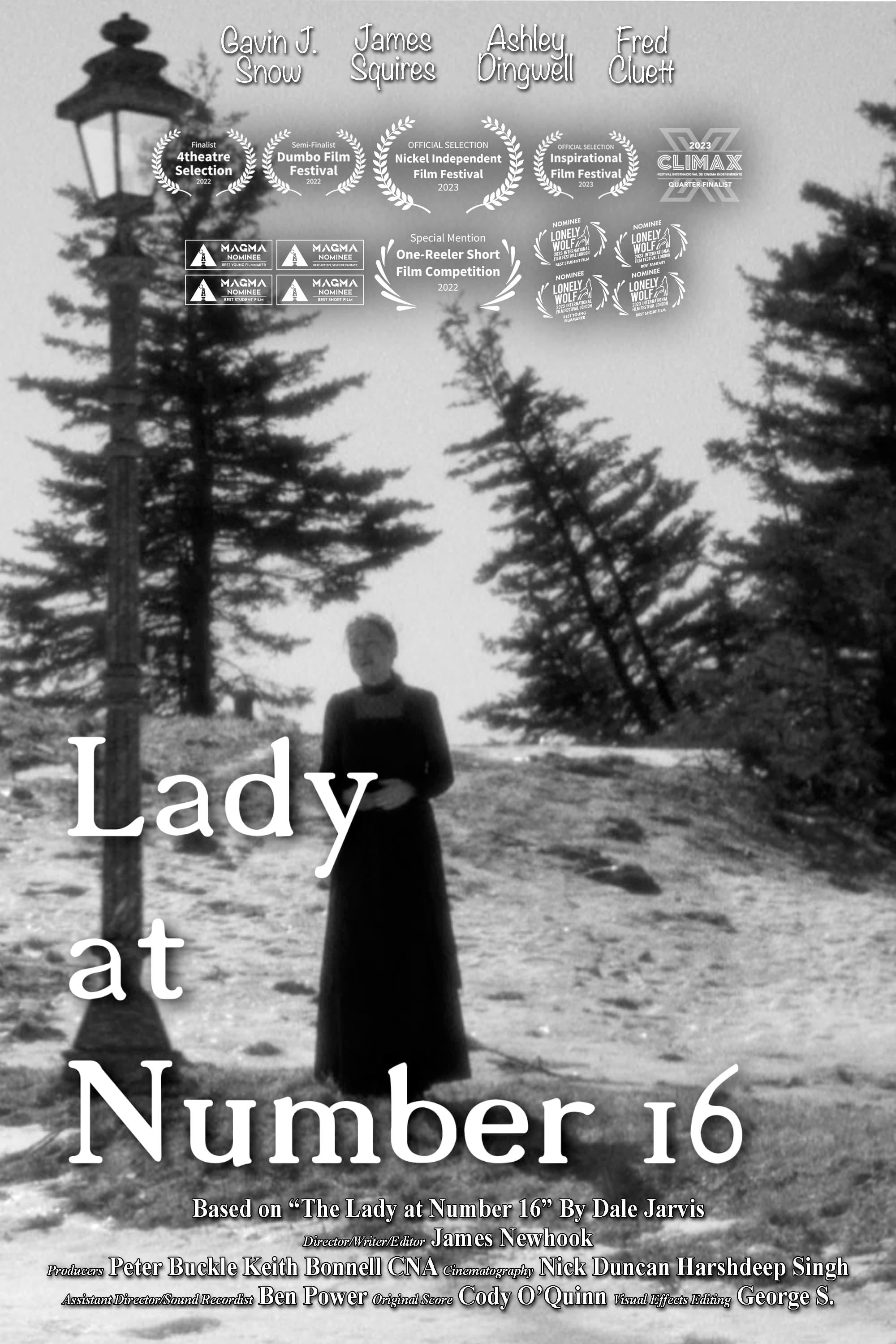 Lady at Number 16 poster