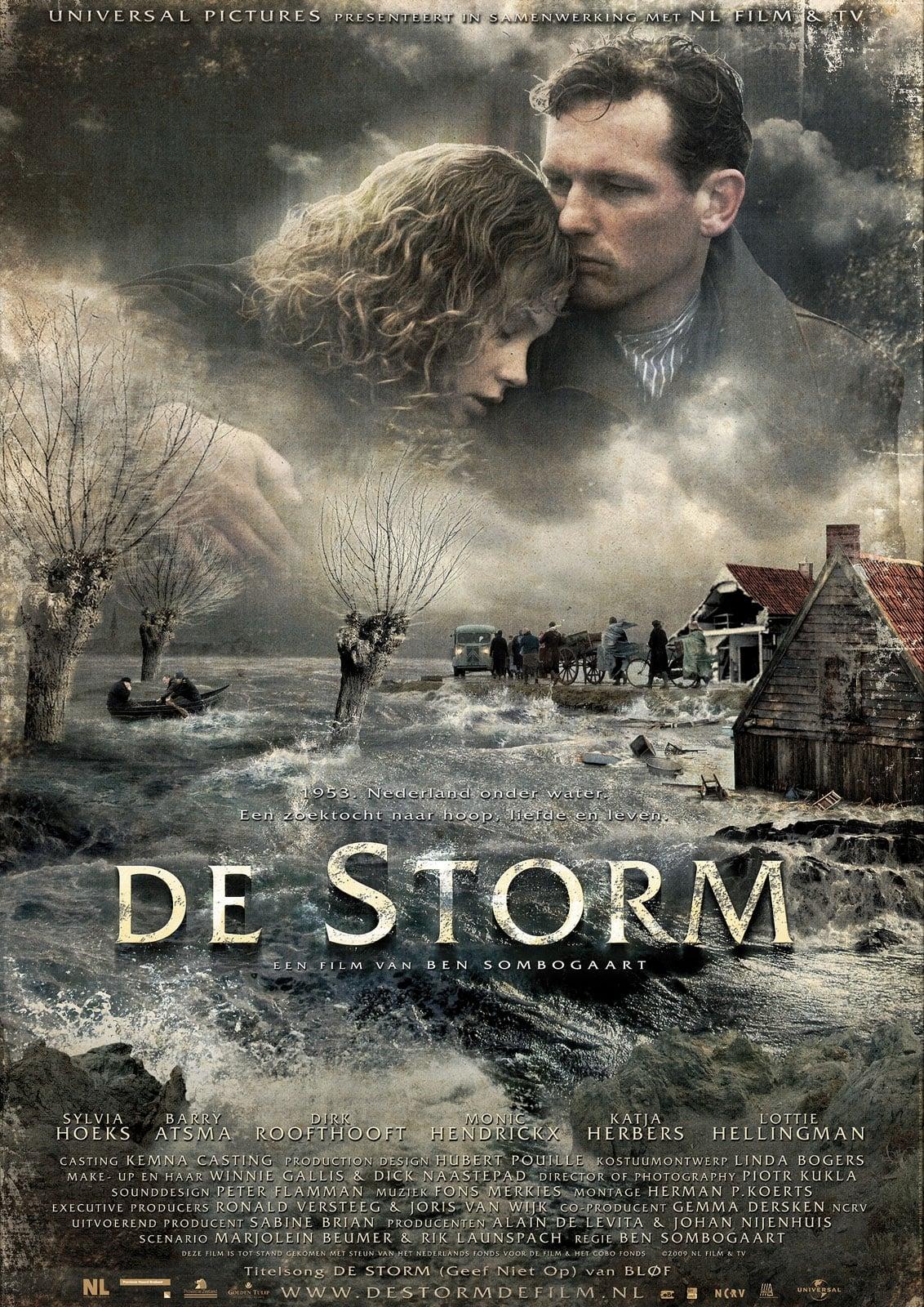 De storm poster