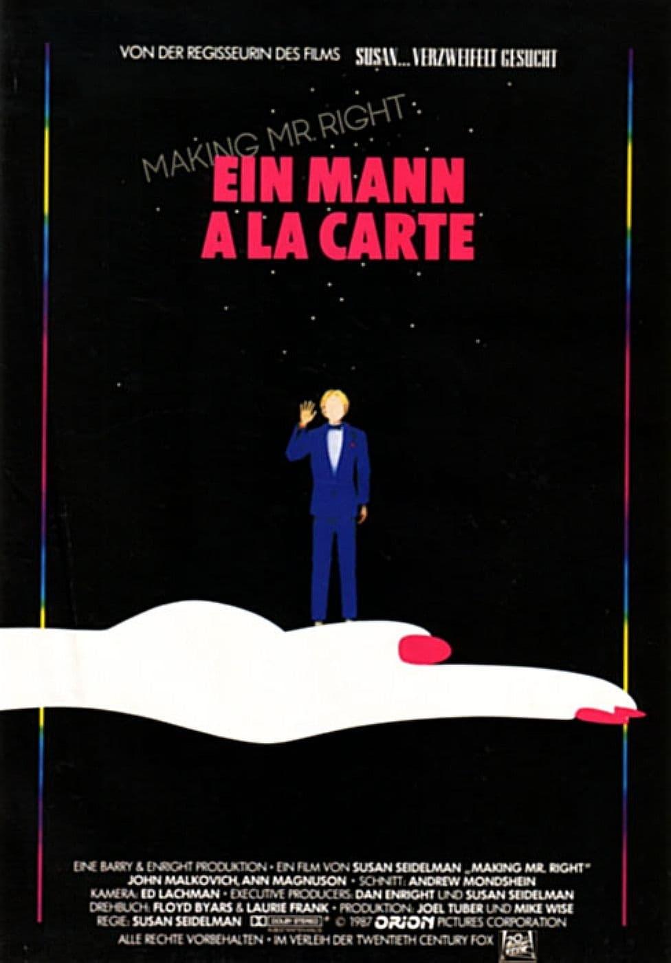 Making Mr. Right - Ein Mann à la Carte poster