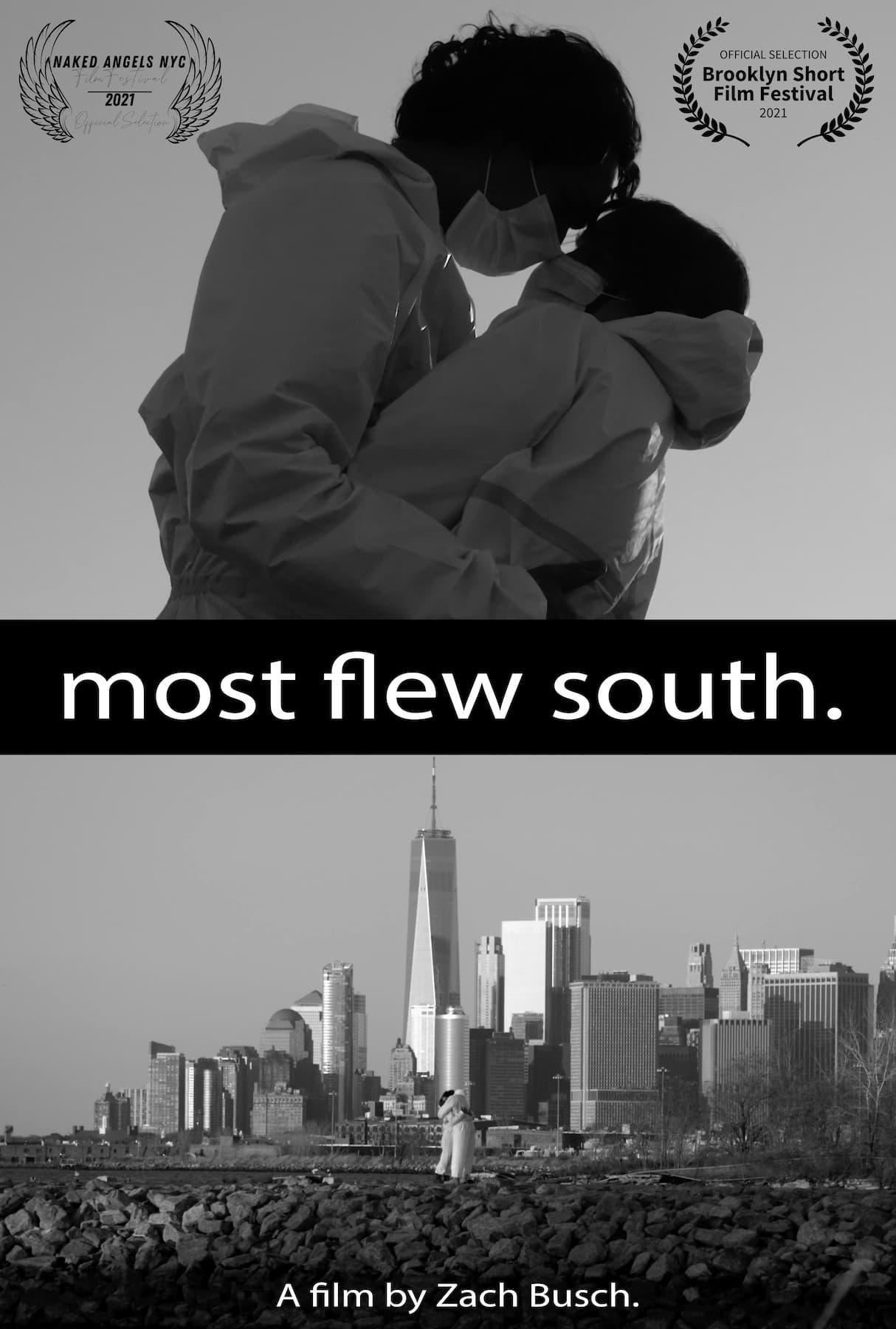 Most Flew South poster