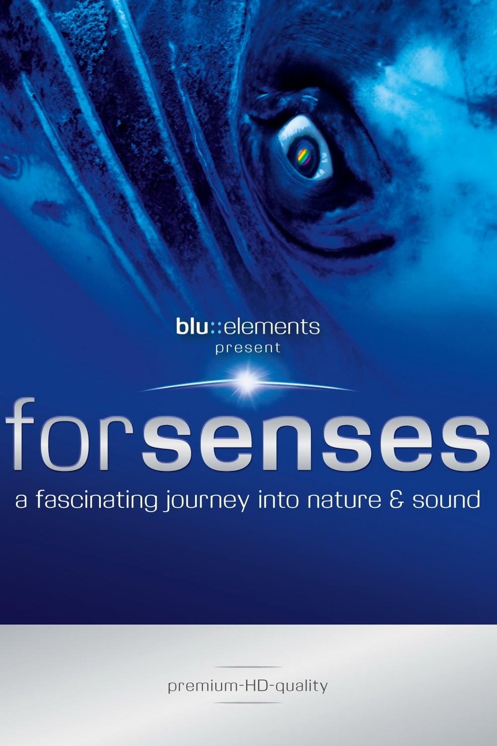 Forsenses - A Fascinating Journey into Nature & Sound poster