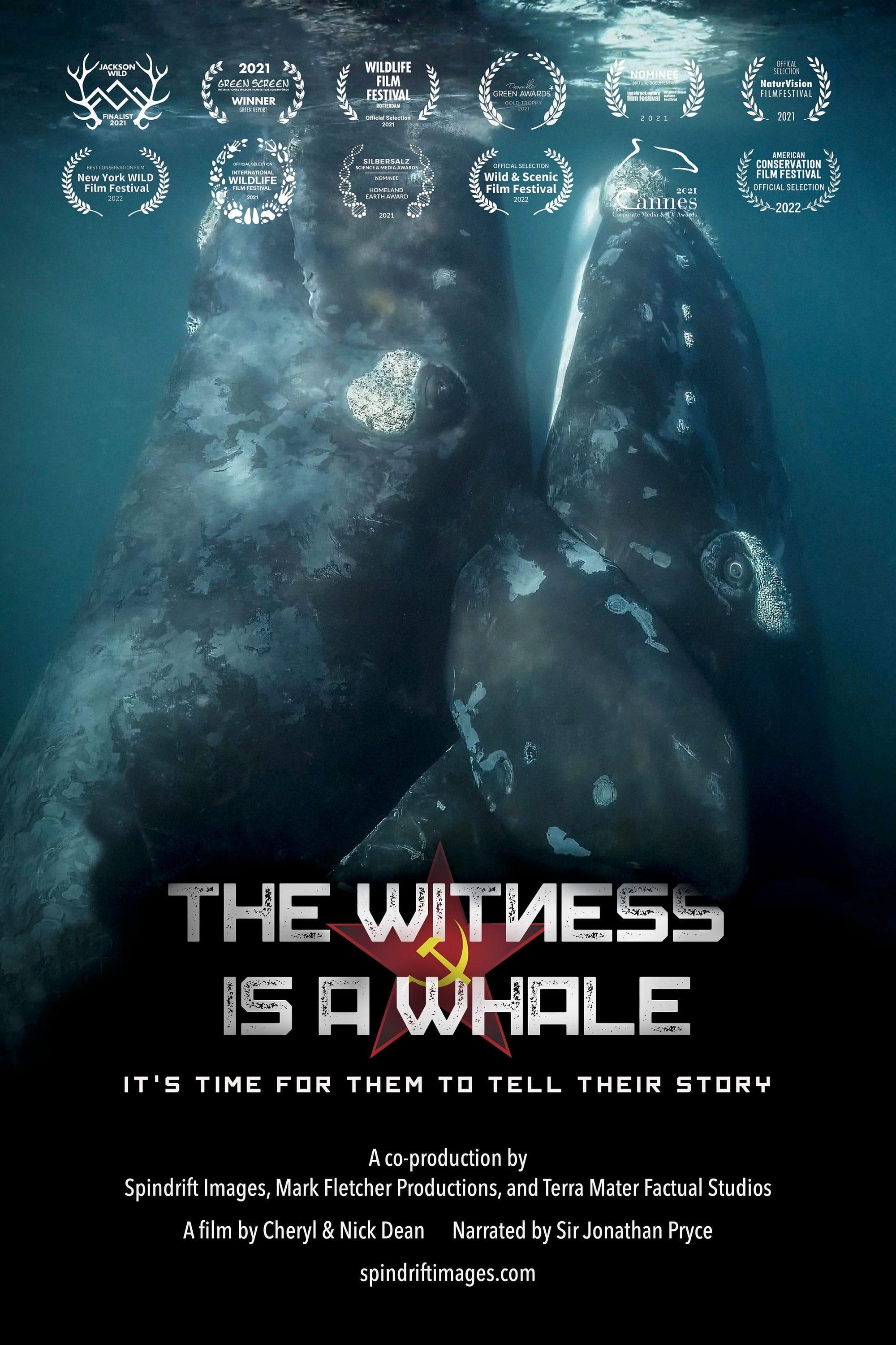 The Witness is a Whale poster