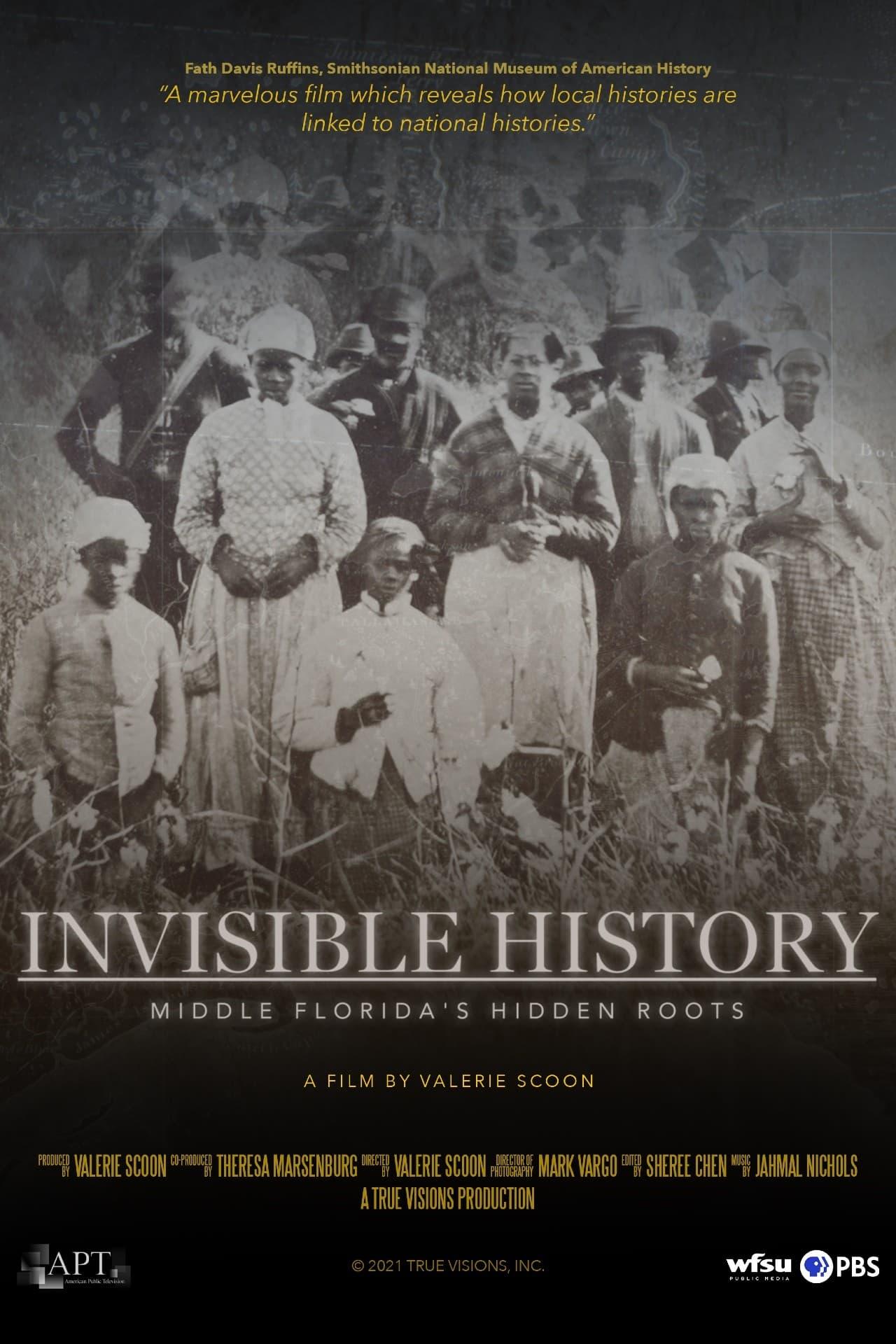 Invisible History: Middle Florida's Hidden Roots poster