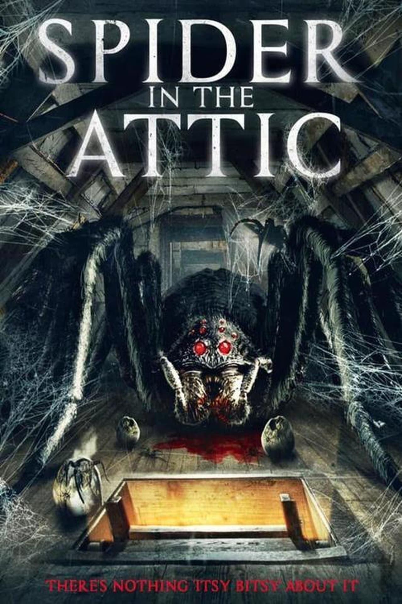 Spider in the Attic poster