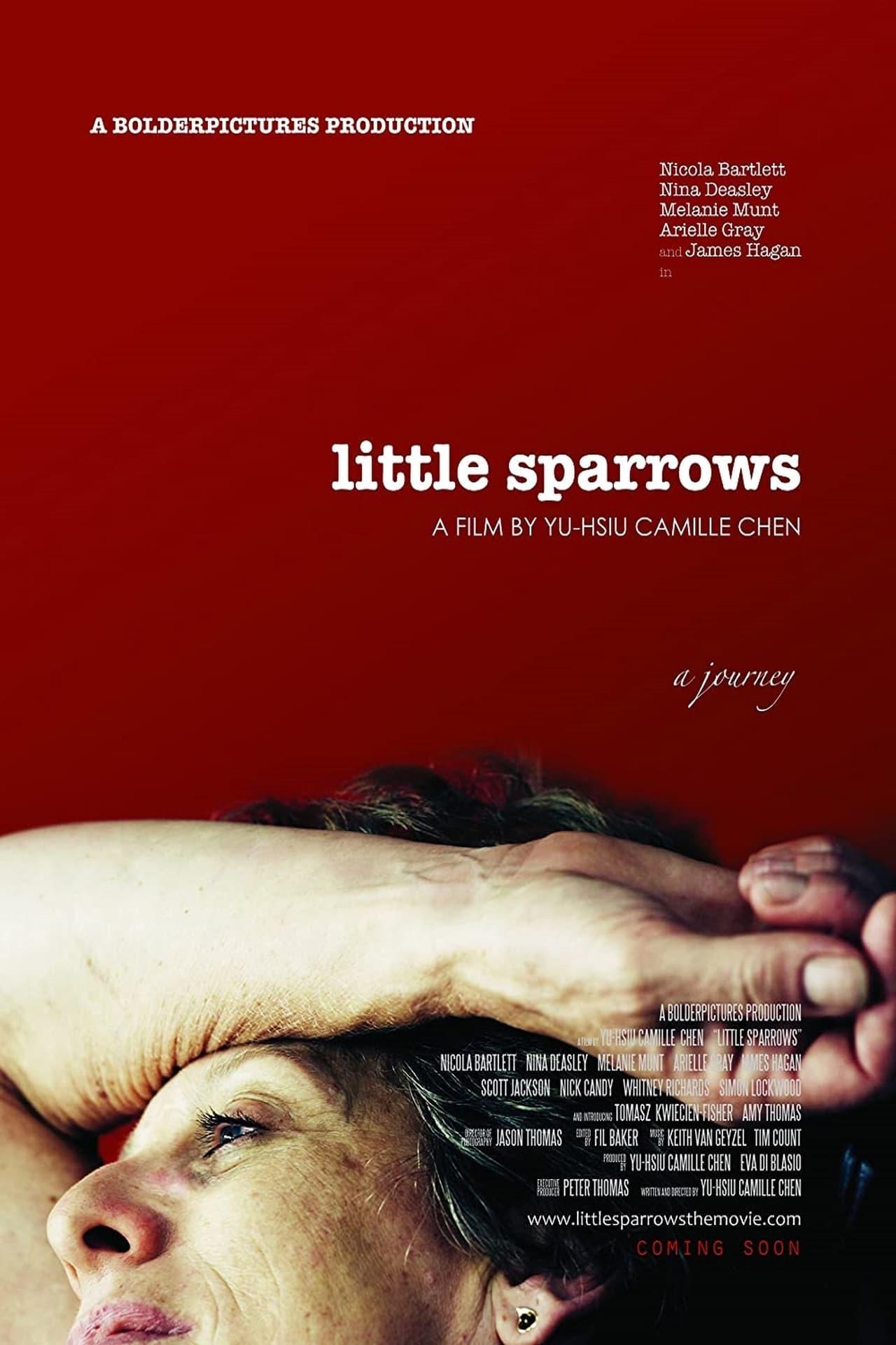 Little Sparrows poster