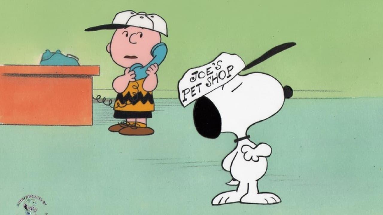 A Charlie Brown Celebration poster