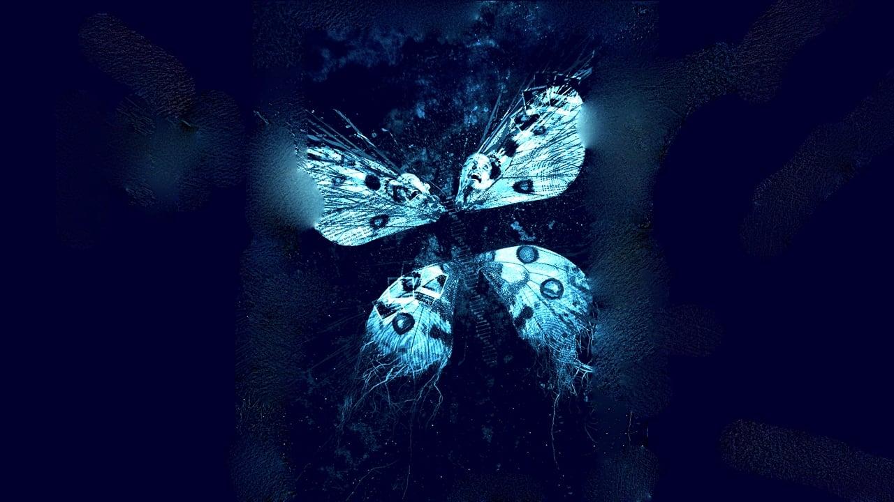 The Butterfly Effect 3: Revelations poster