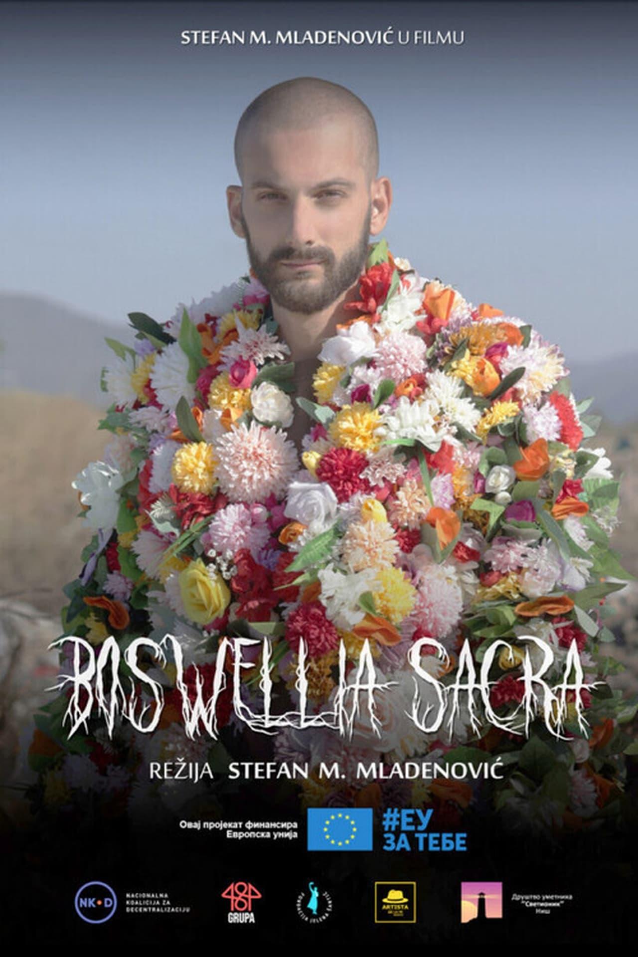 Boswellia sacra poster