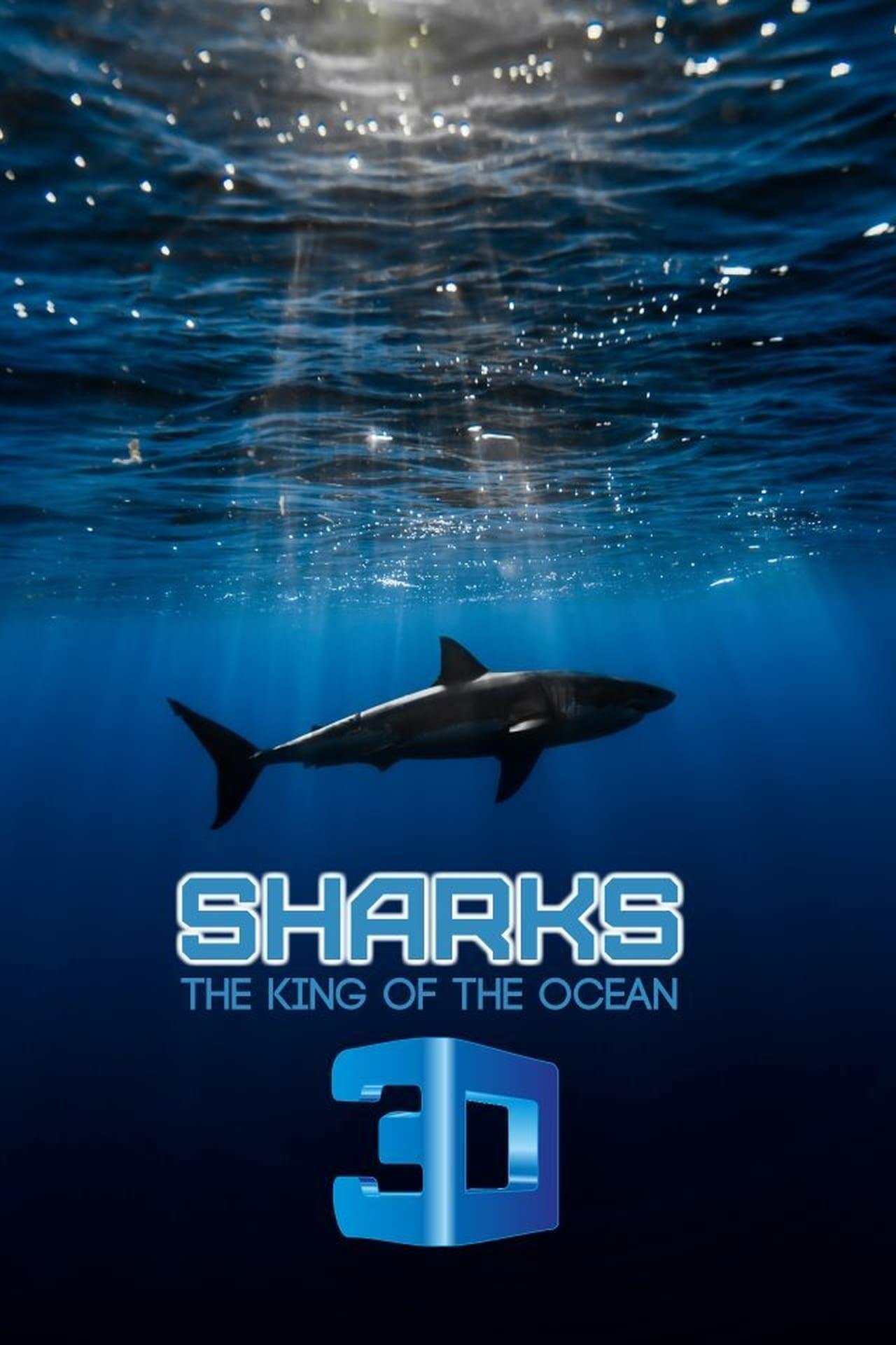 Haie - Killer aus dem Meer poster