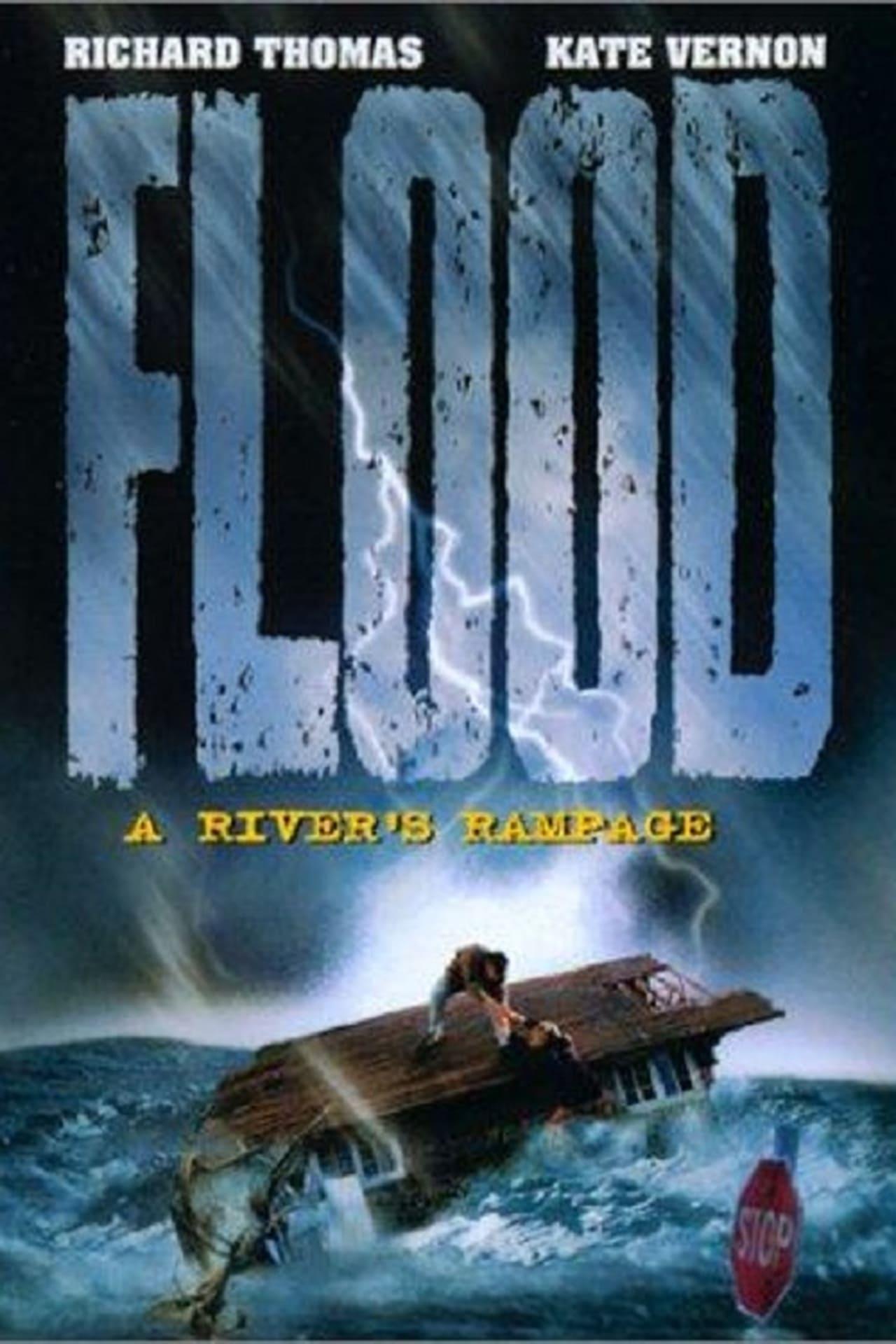 Flood: A River's Rampage poster