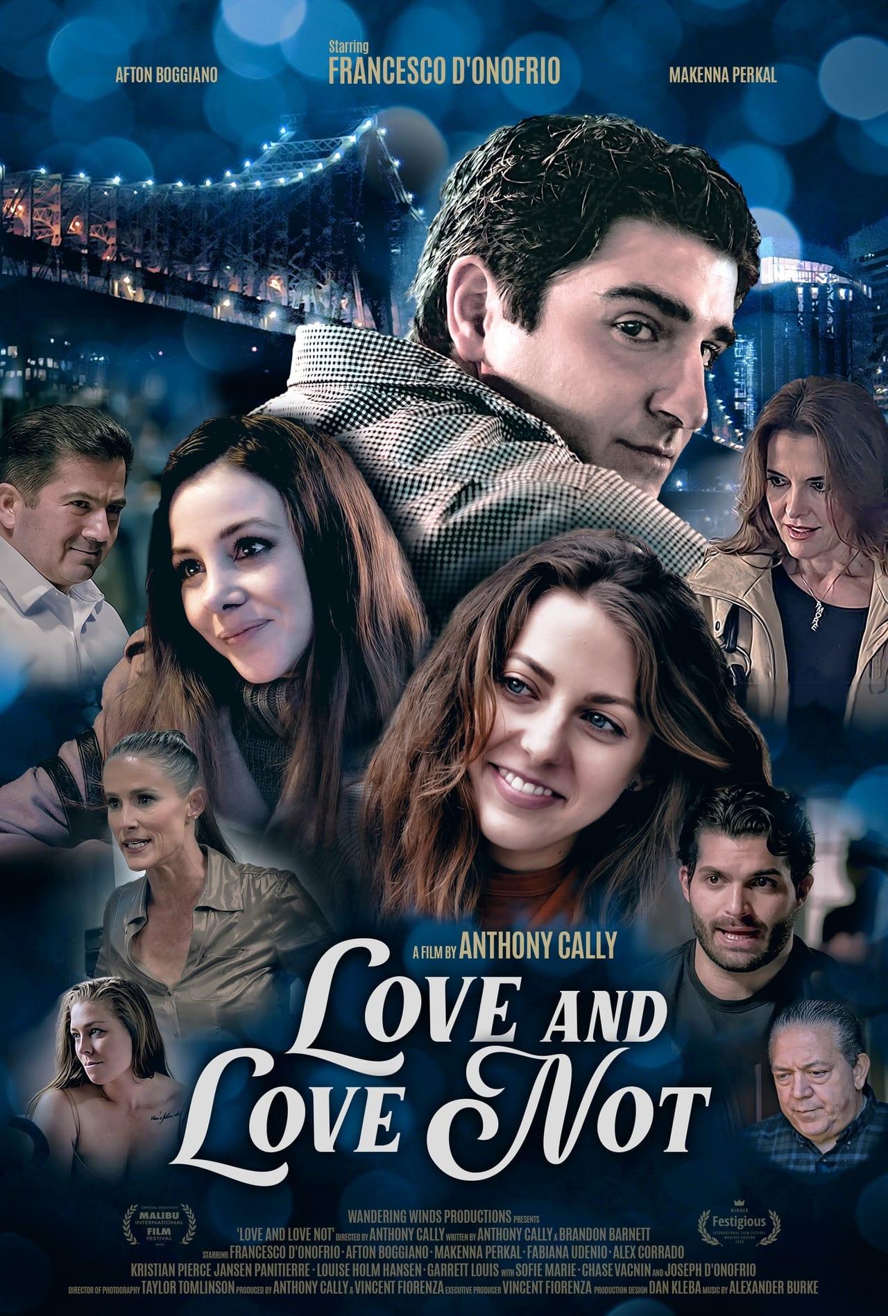 Love and Love Not poster