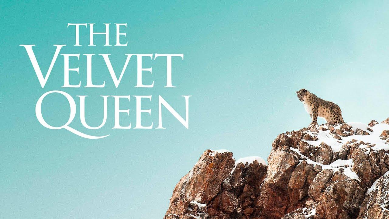 The Velvet Queen