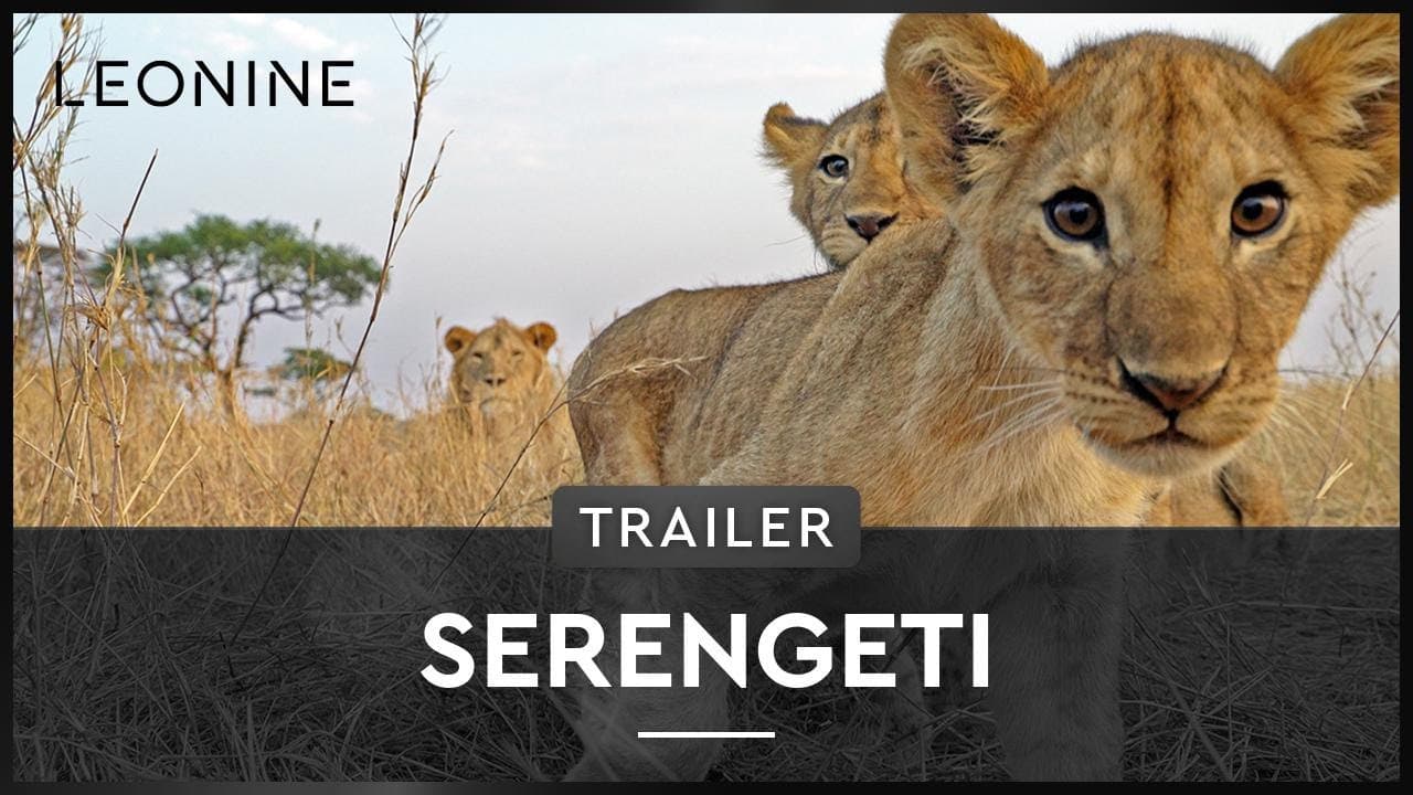 Serengeti 3D